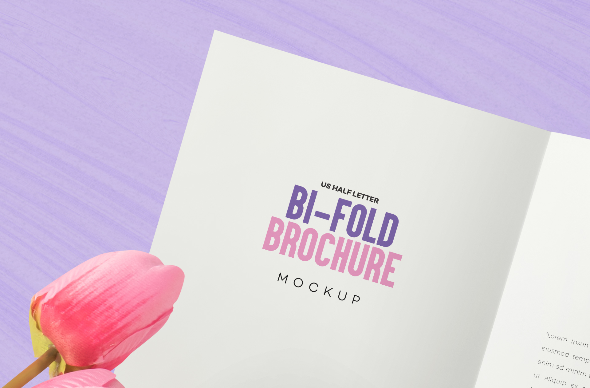 advertising brochure