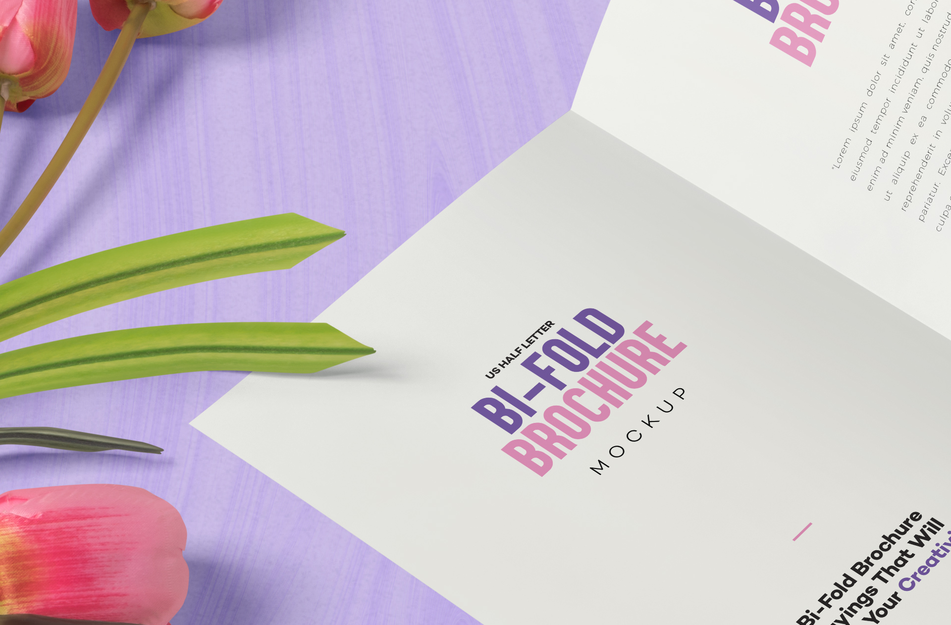 advertising brochure