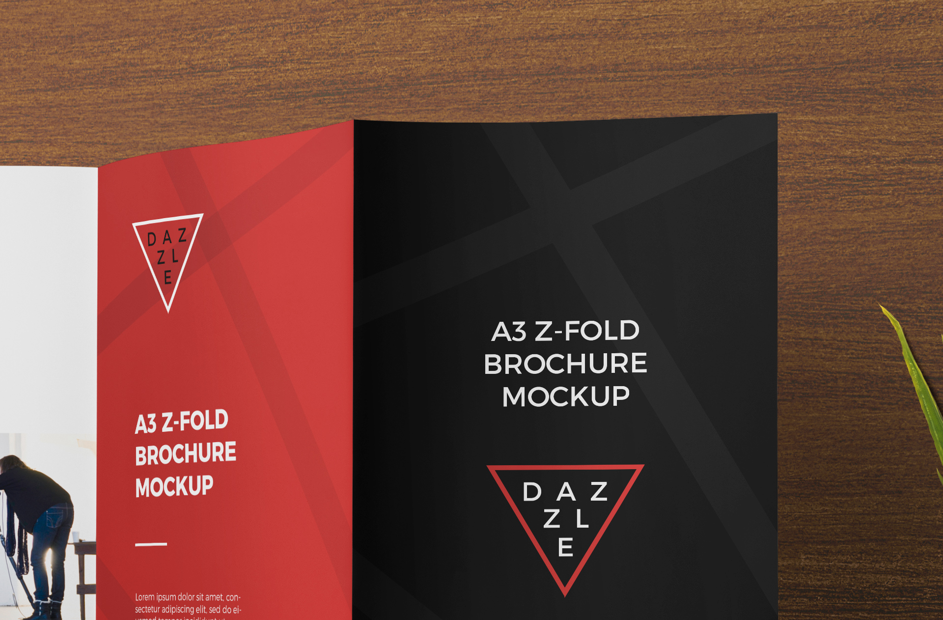 a4 brochure