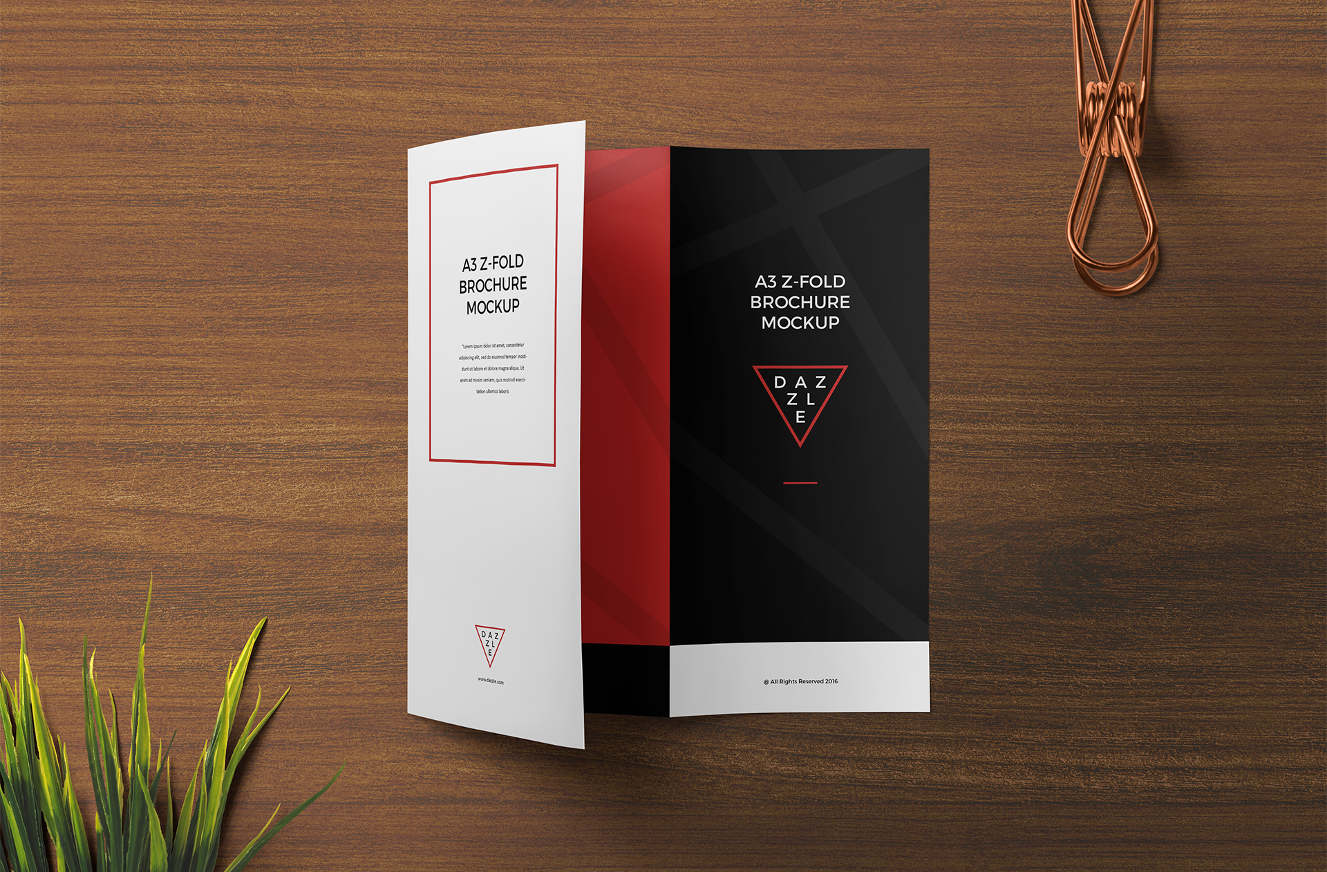 Creative A4 Z-Fold Brochure Mockup – Stylish Layout