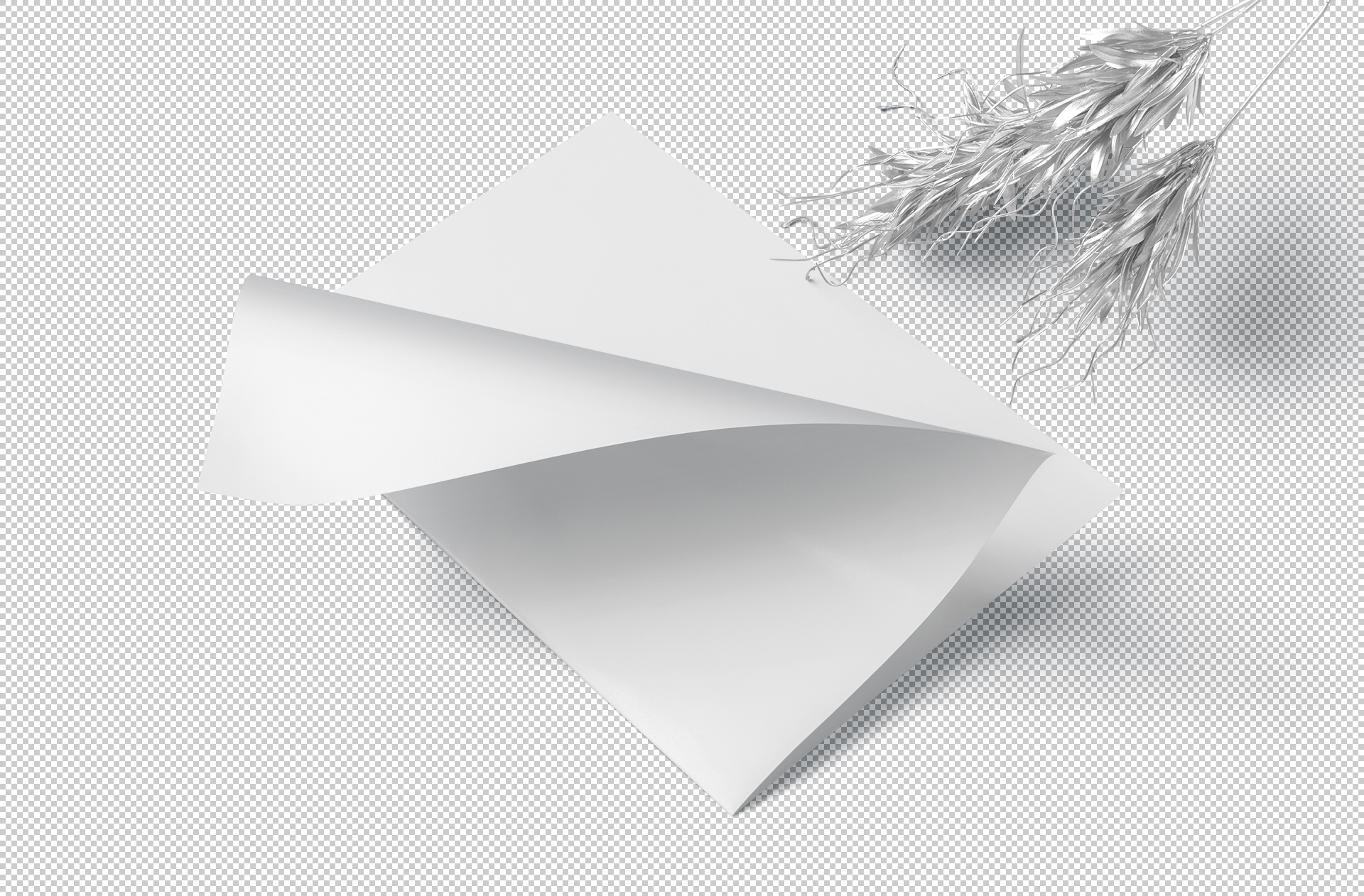 A4 flyer