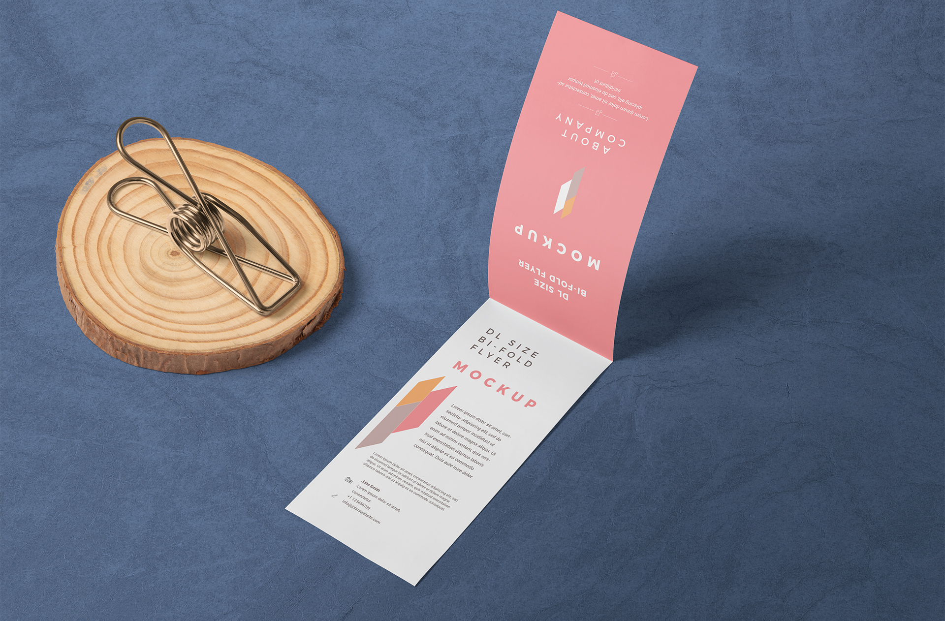 Professional DL Bi-Fold Flyer Mockup – Customizable