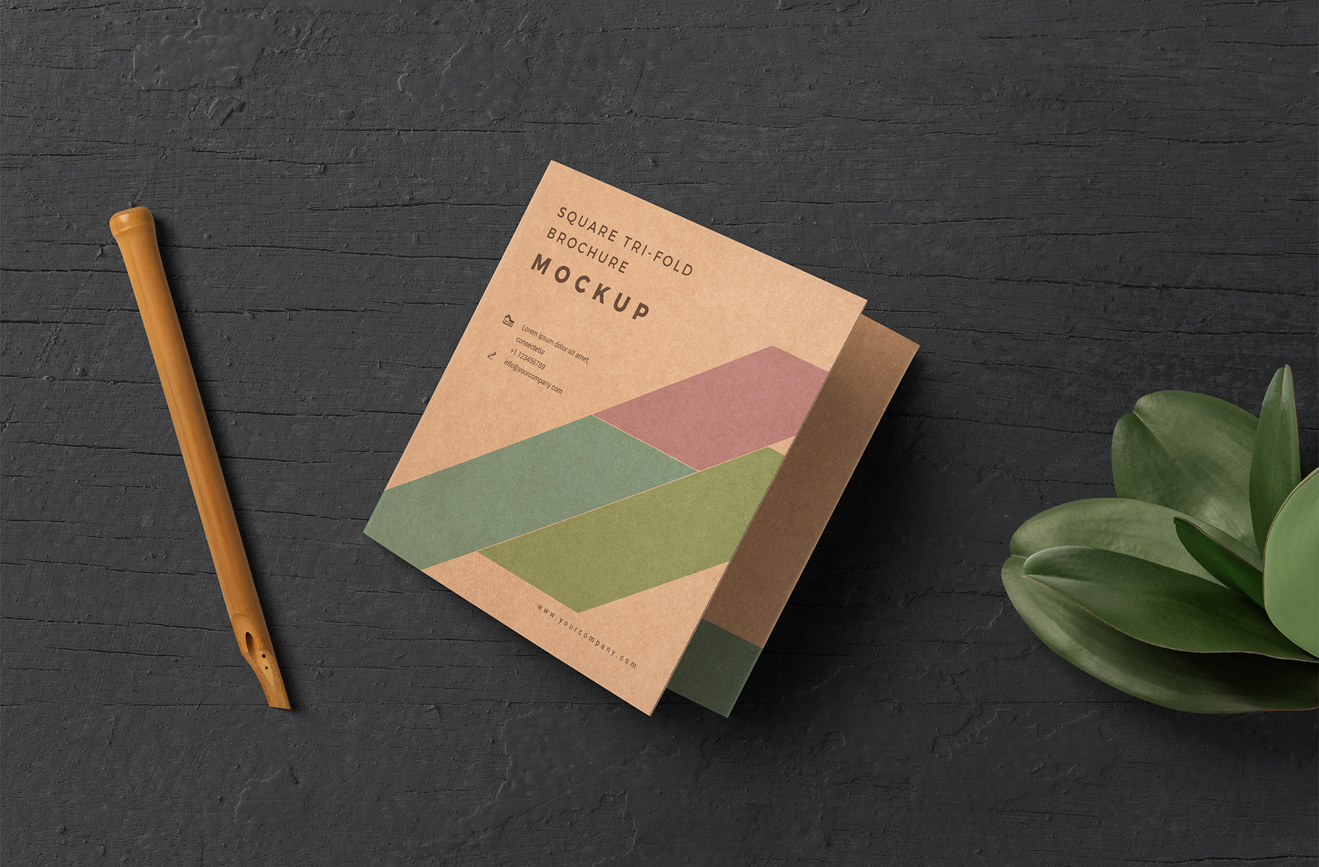 Minimal Square Tri-Fold Brochure Mockup
