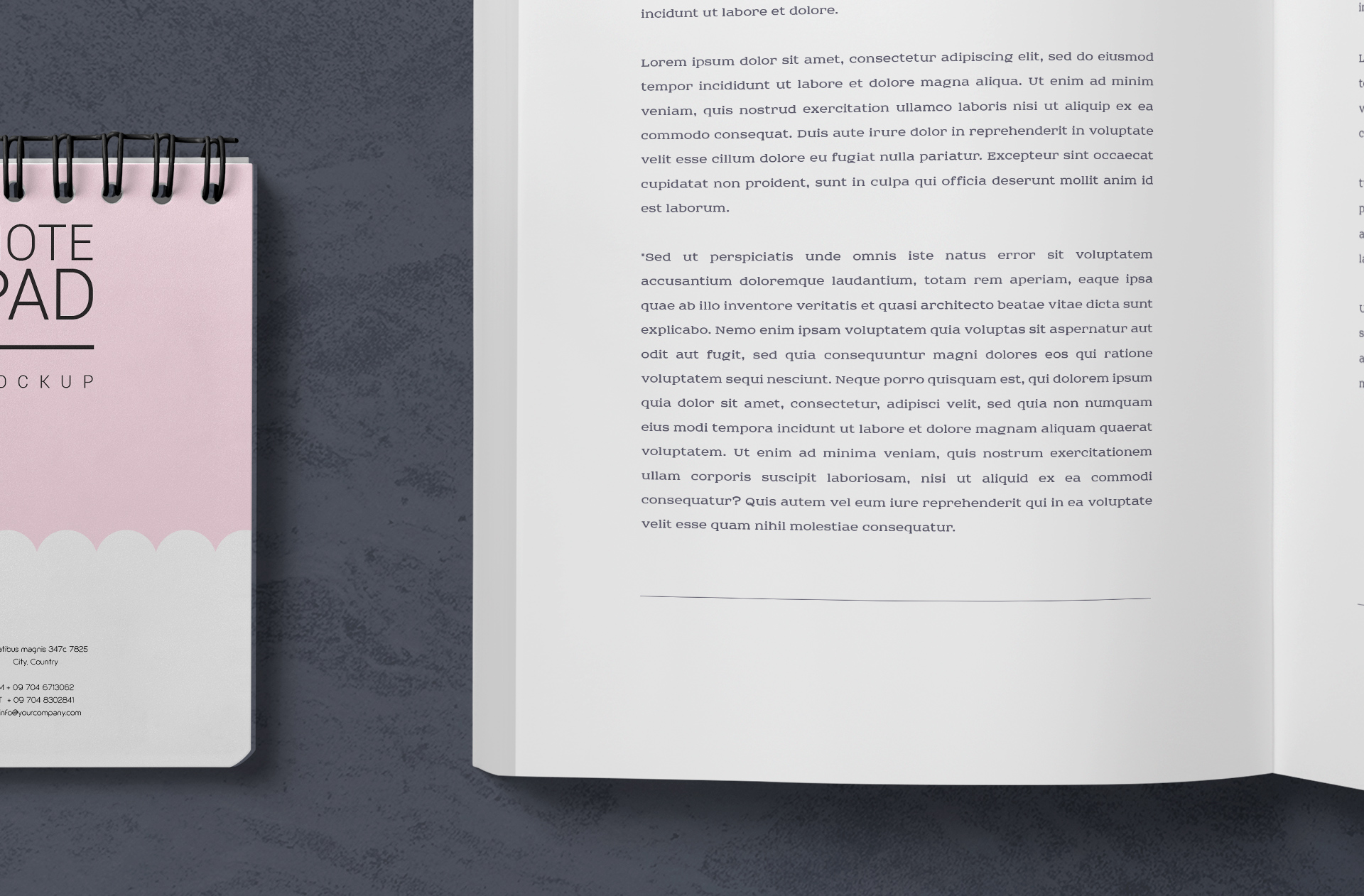 book page mockup