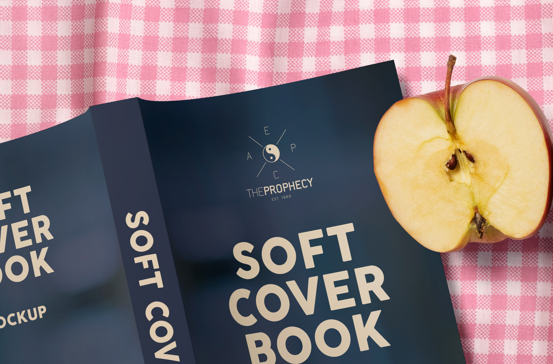 author book preview