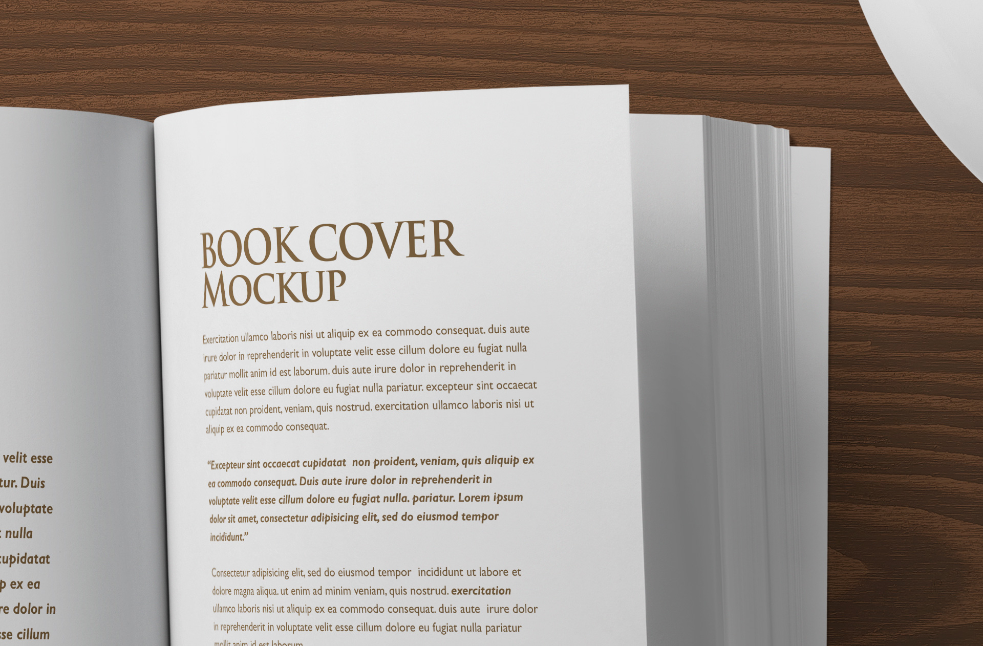 a5 book mockup