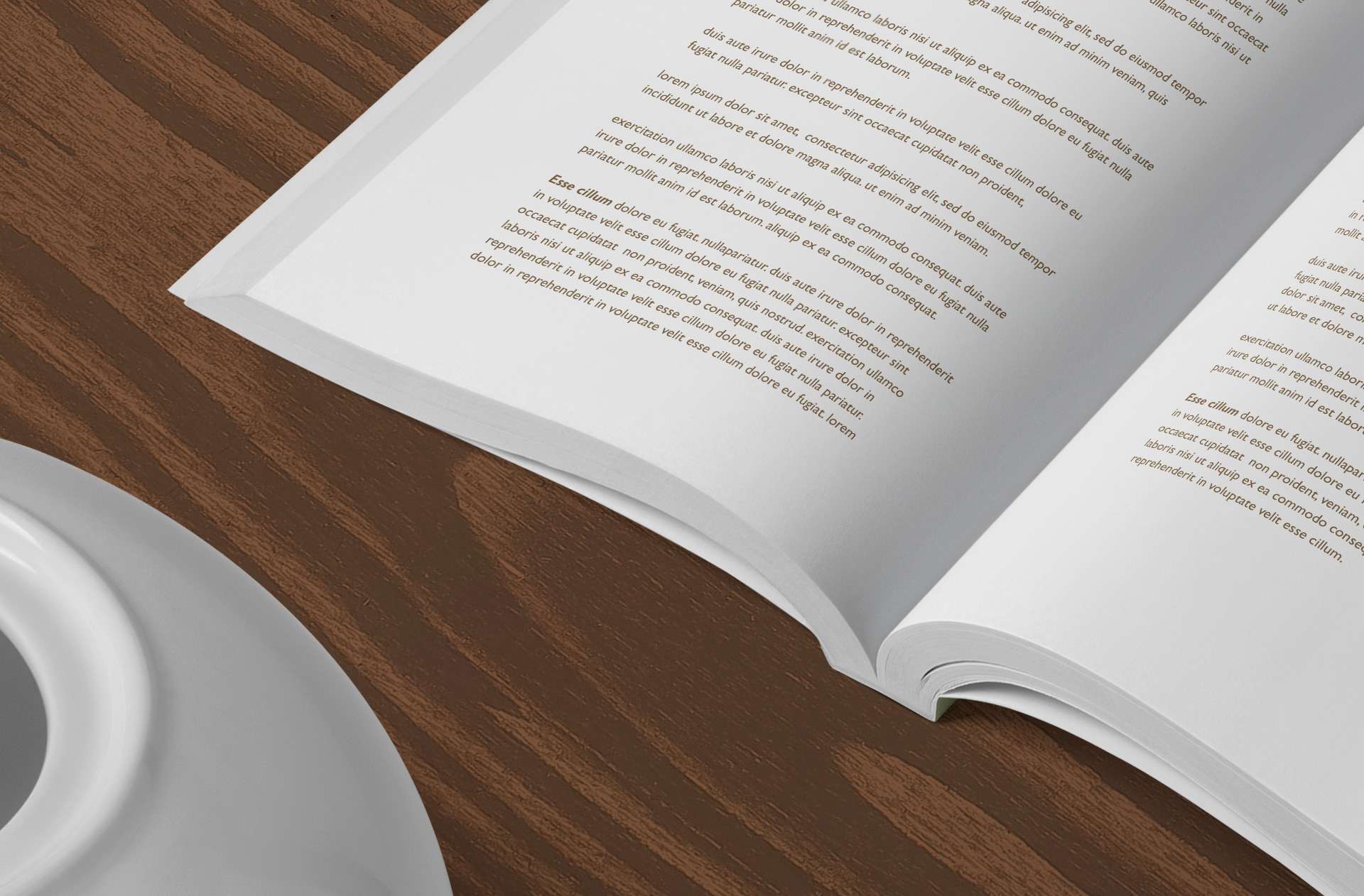 a5 book mockup