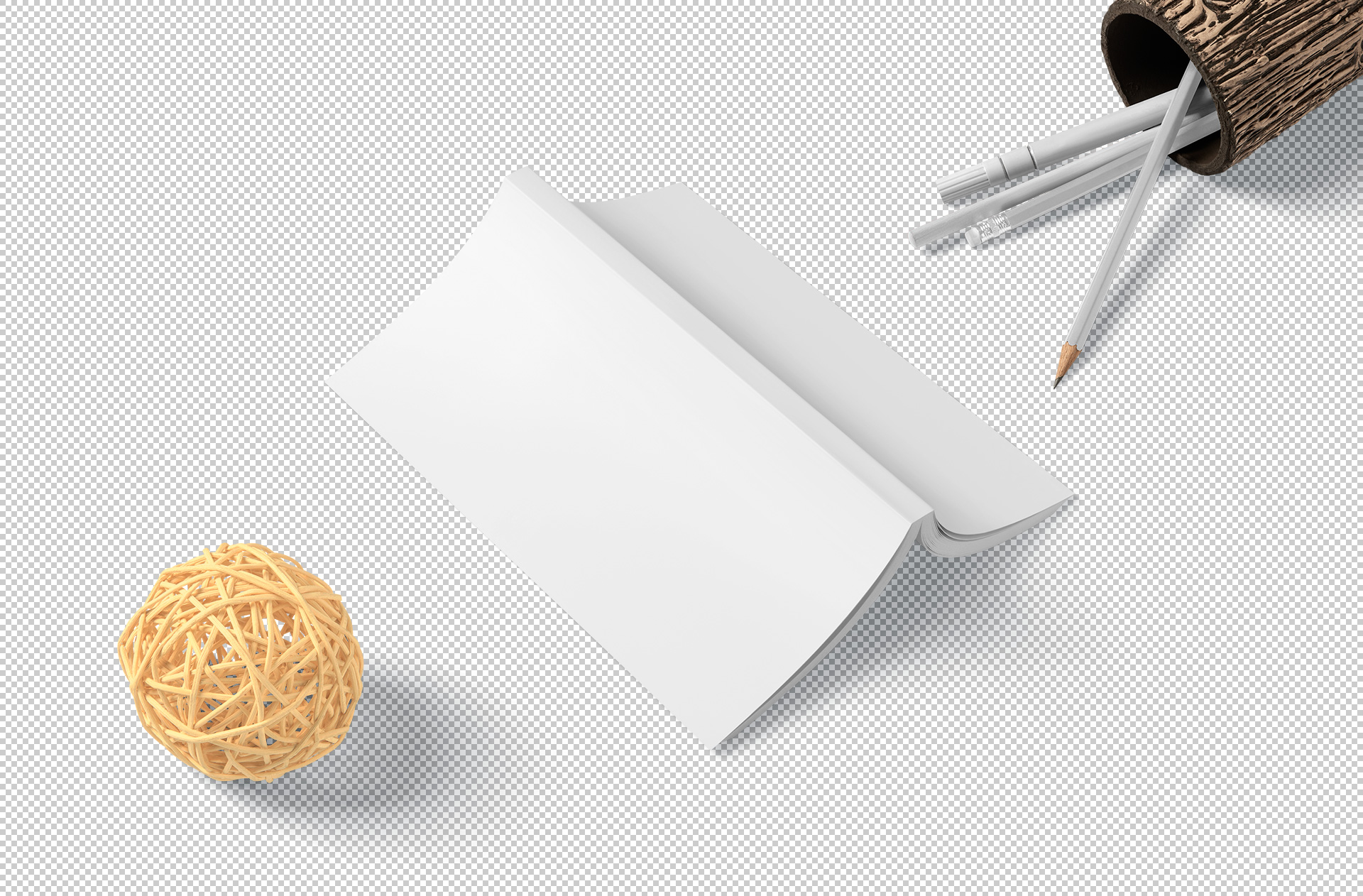 book branding mockup