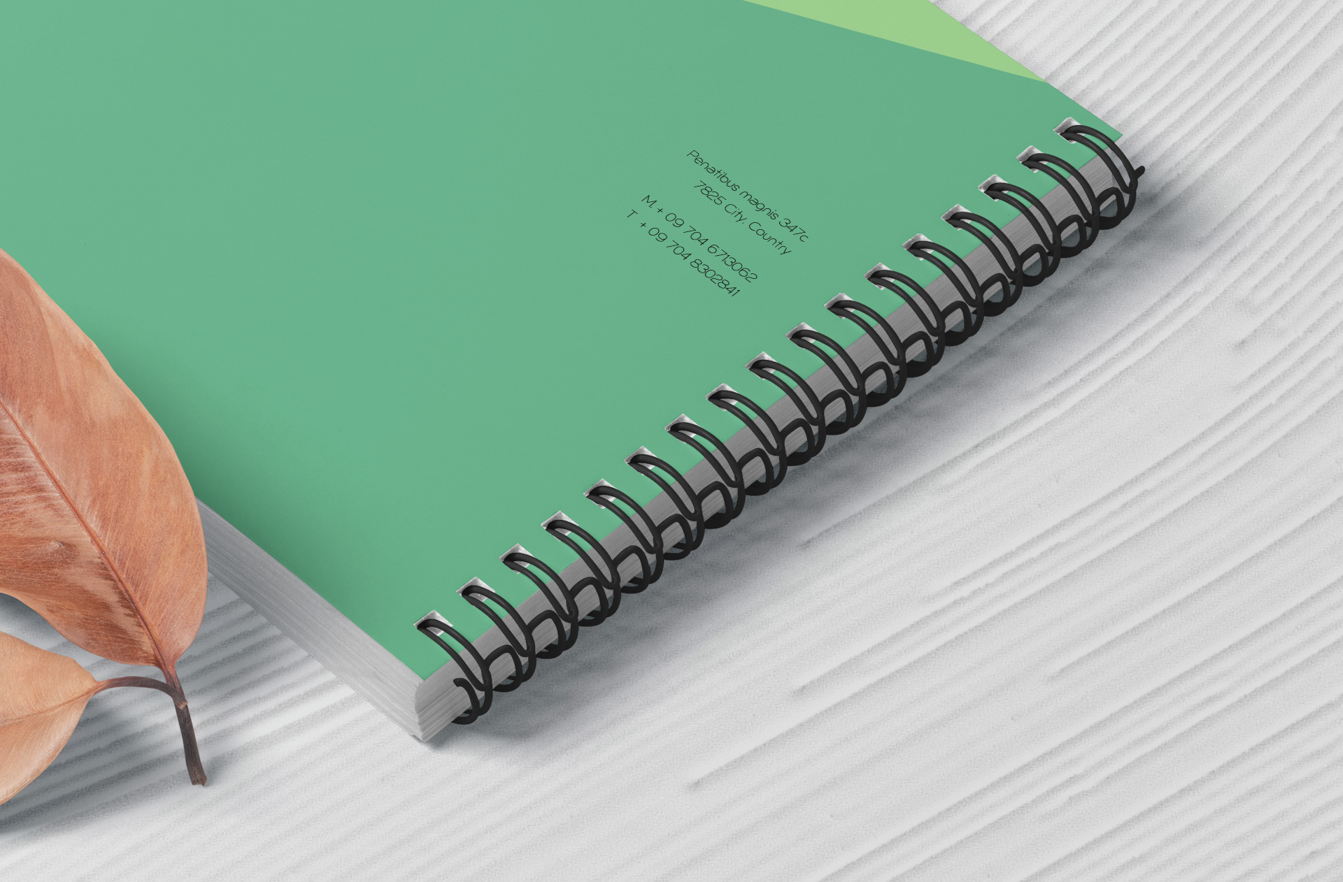 A4 landscape book mockup