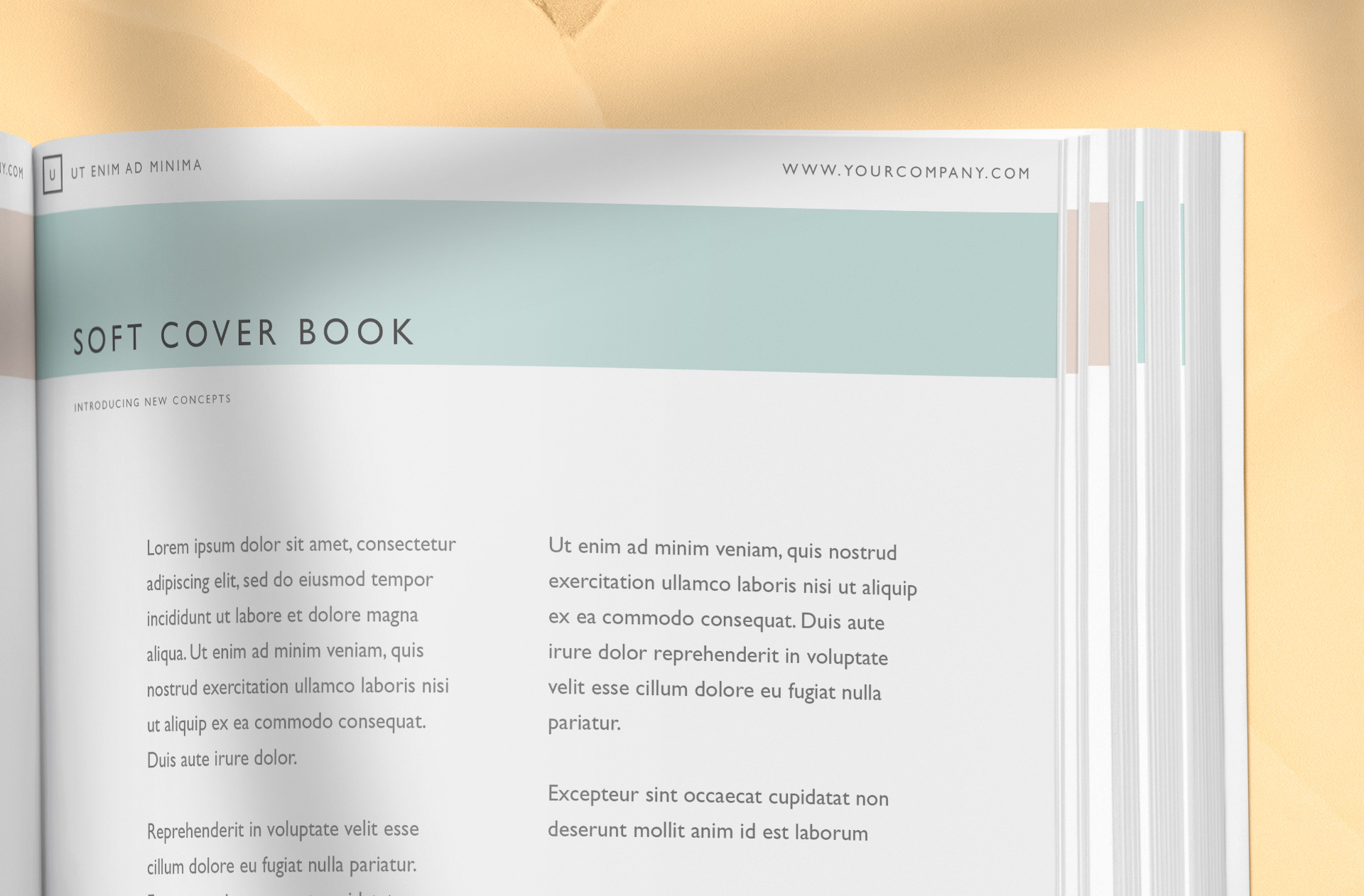 A4 square book mockup