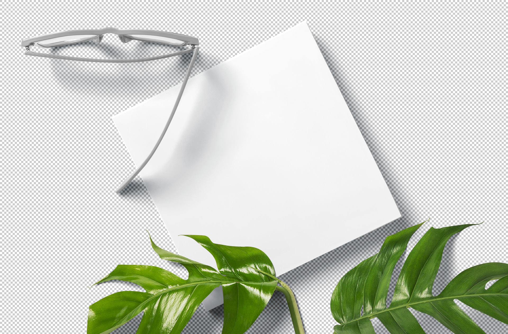 A4 square book mockup
