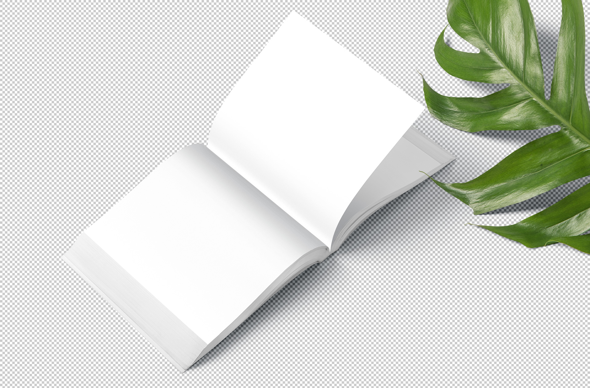 A4 square book mockup