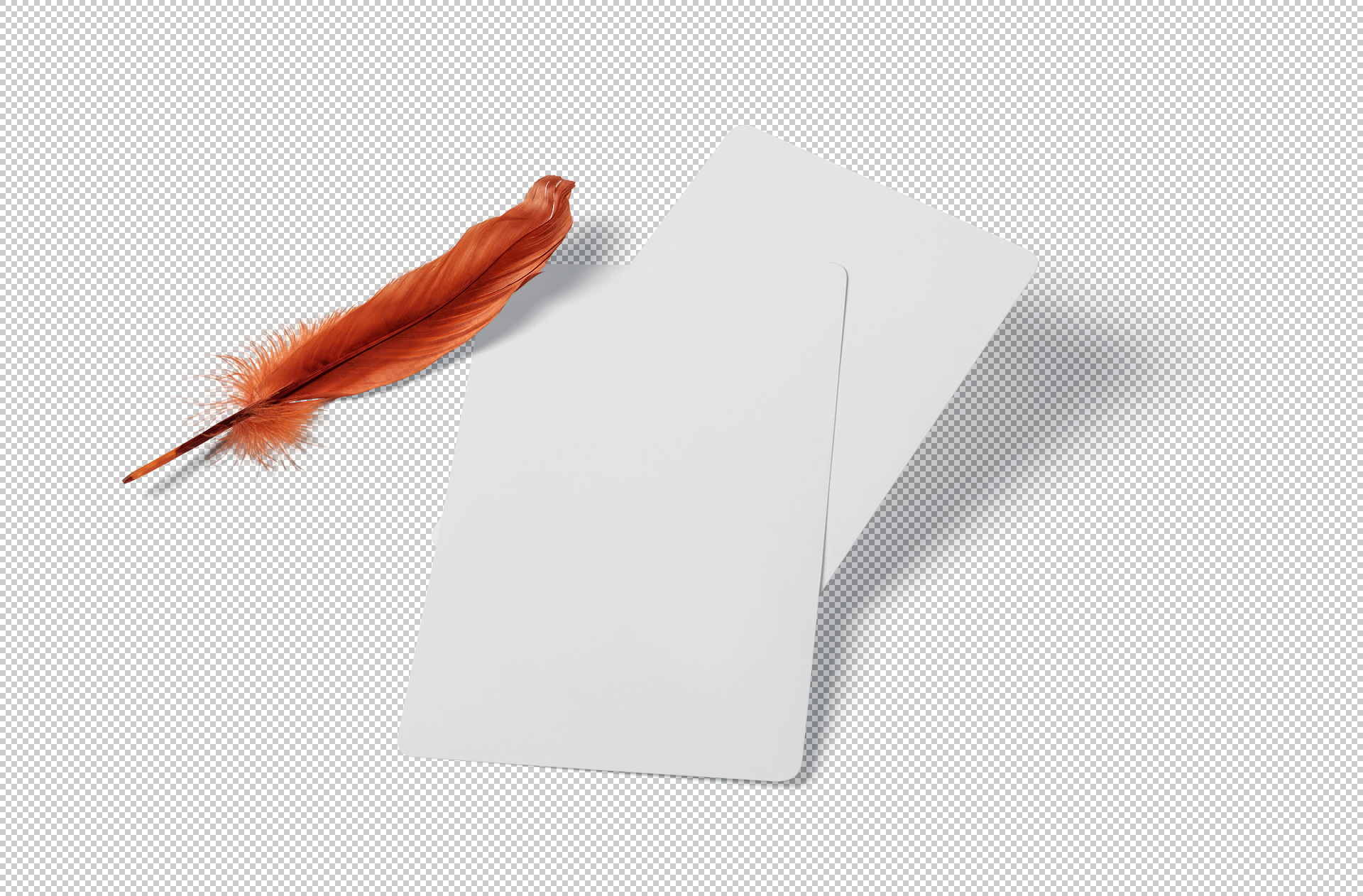 clean postcard design
