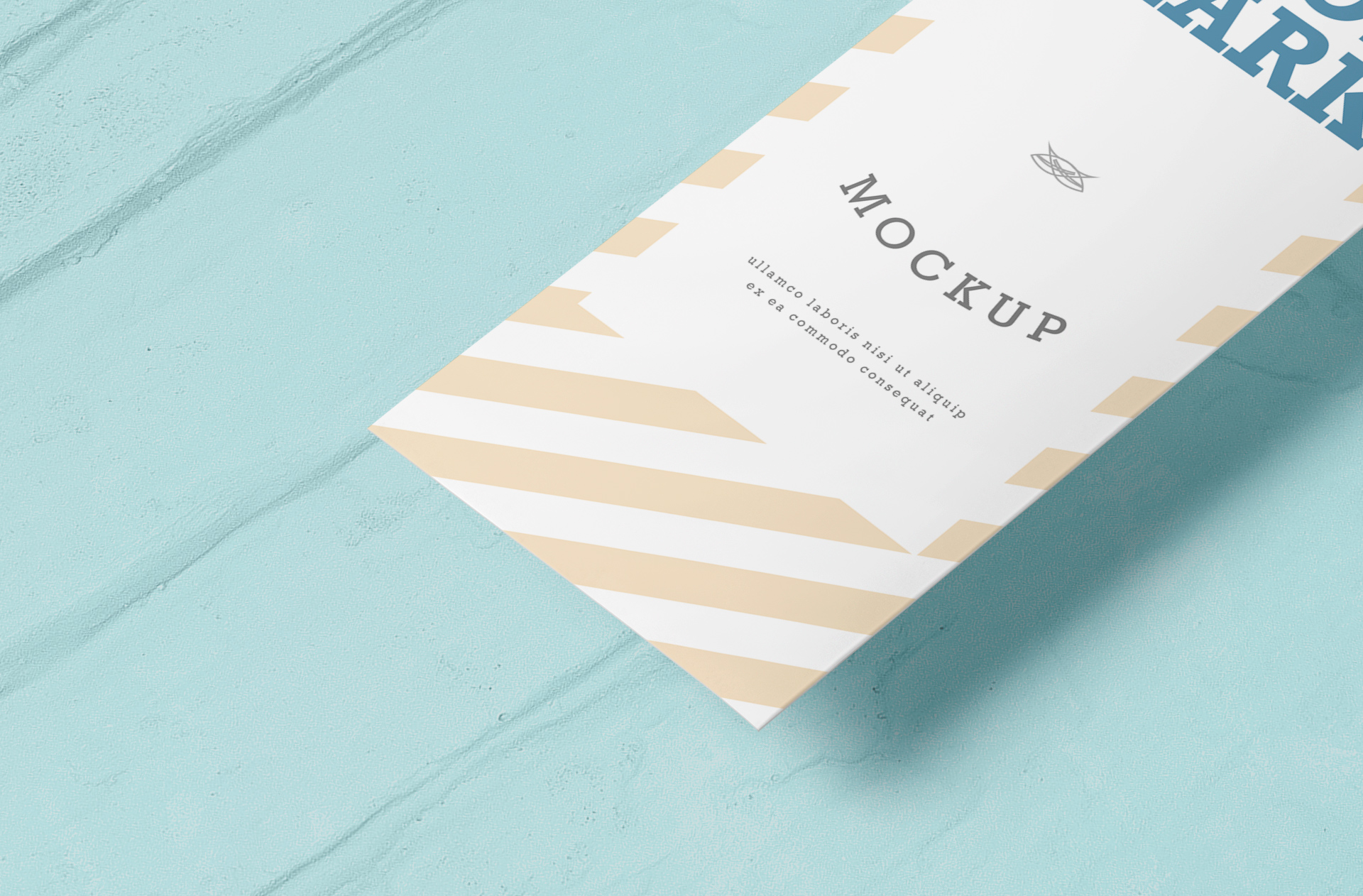 author merchandise mock-up