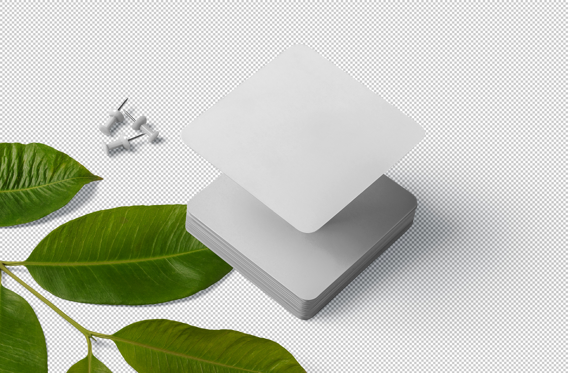 business card mockup
