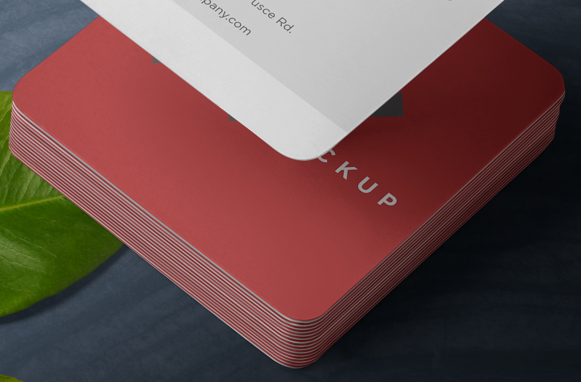 business card mockup