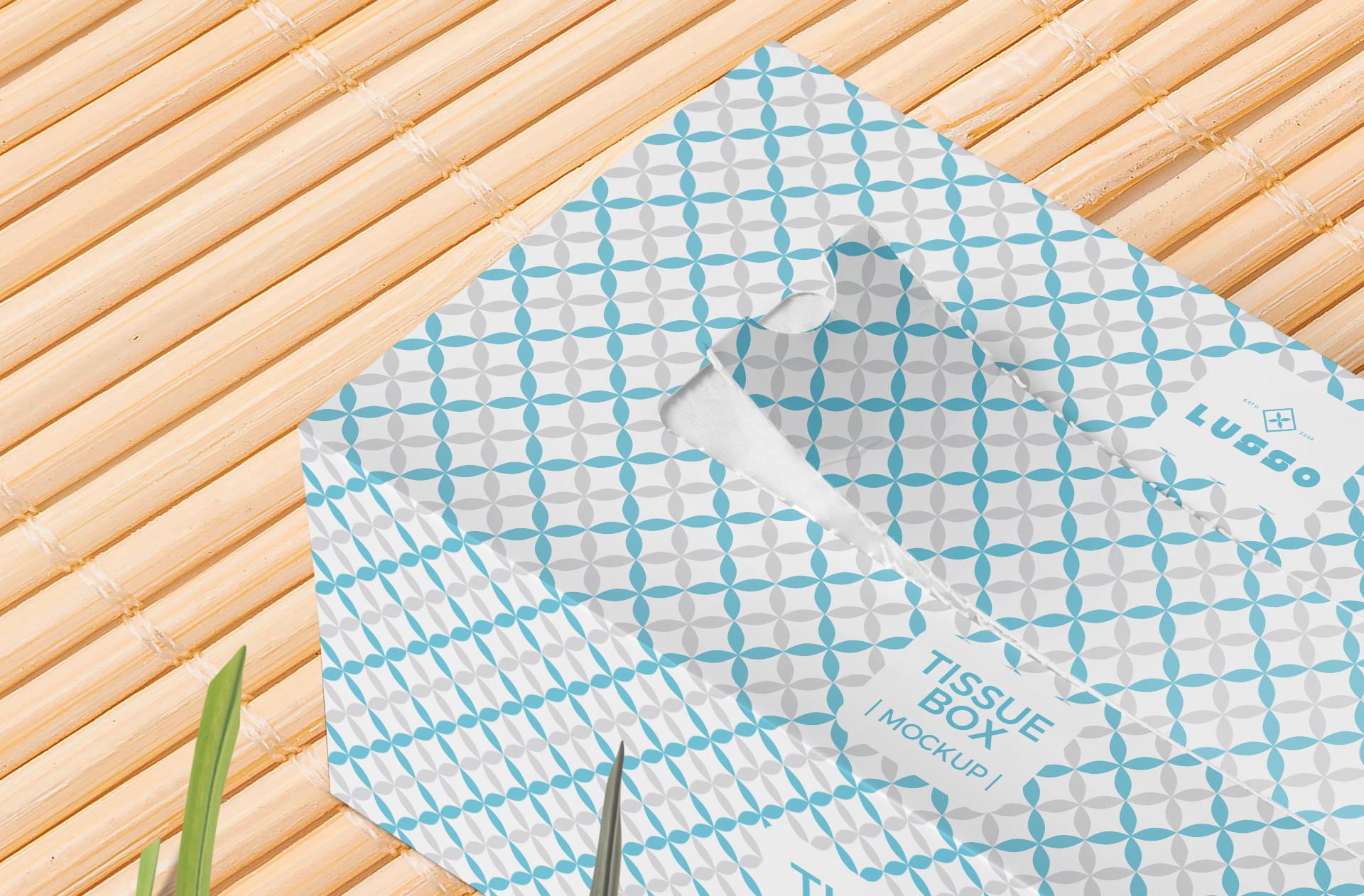 folded carton packaging