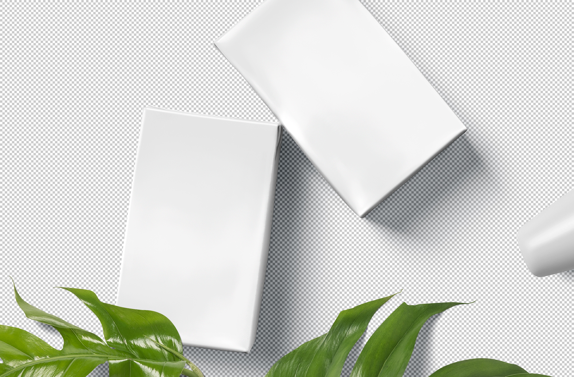 beverage carton mockup