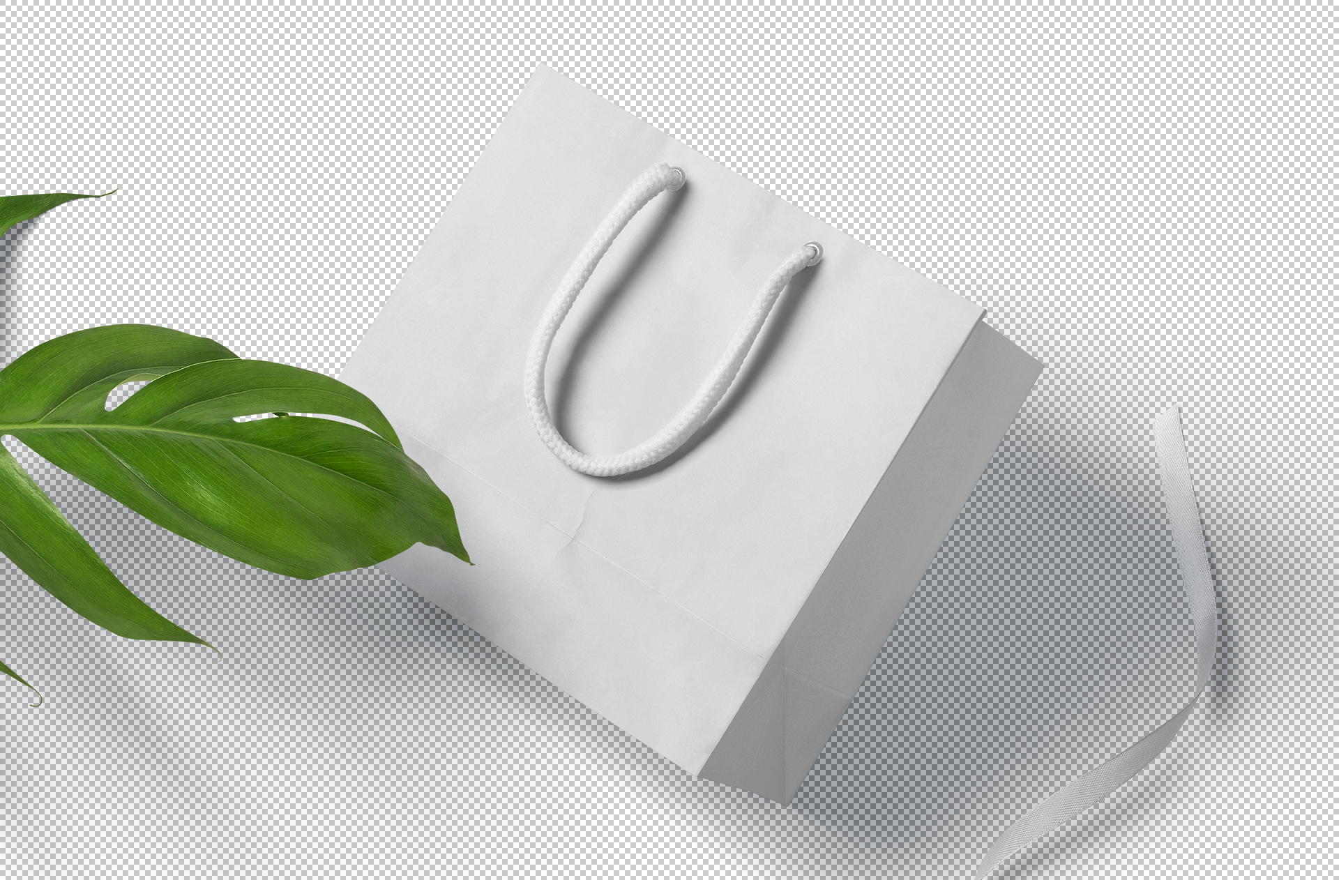 branding bag PSD