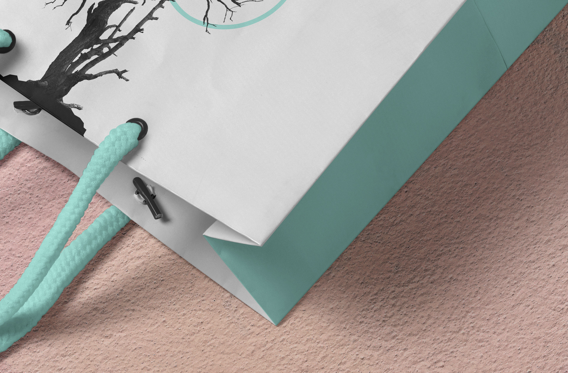 boutique store bag mockup