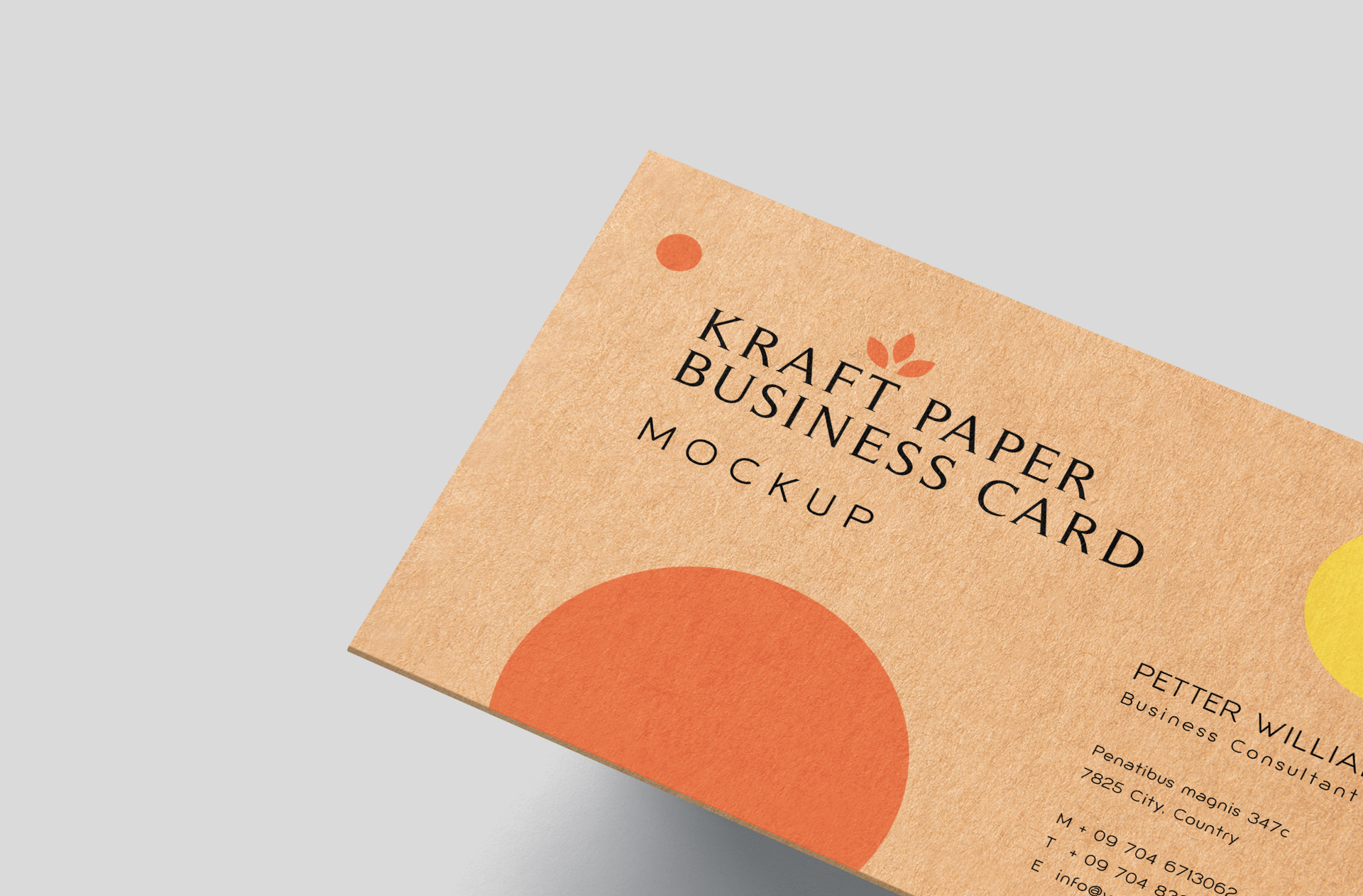 branding card mockup