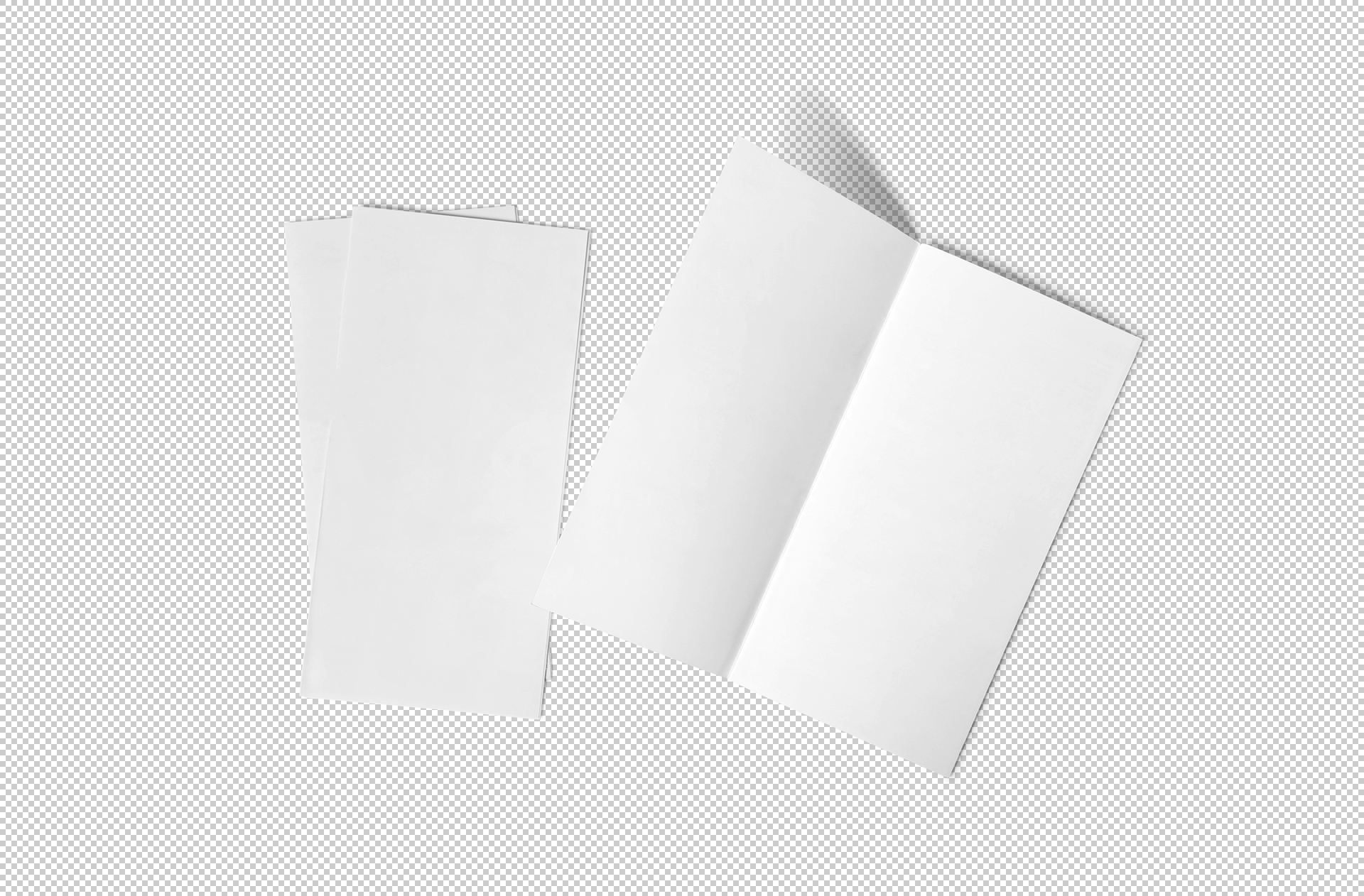 business flyer template mockup