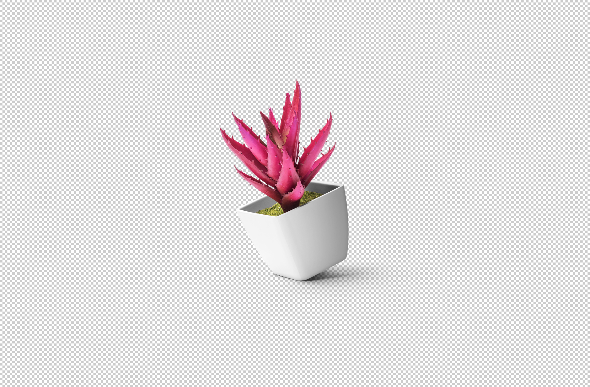 branding pot mockup