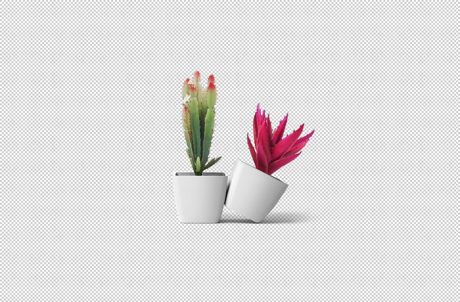 branding flowerpot mockup