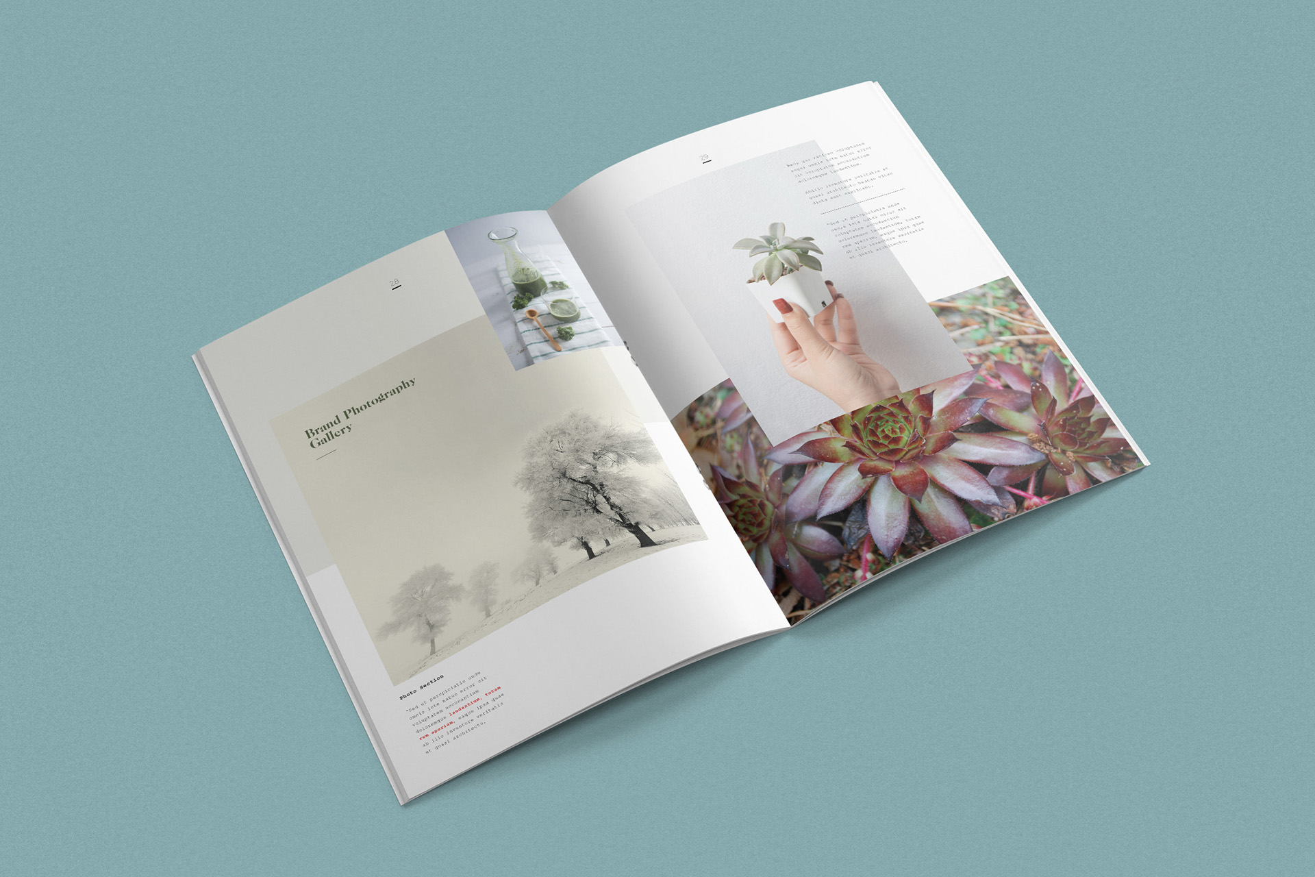 botanical brand book