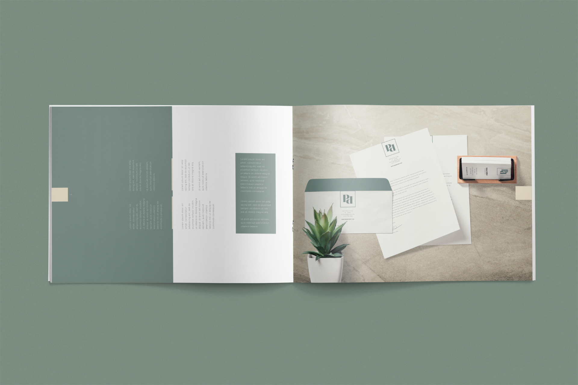 brand book template