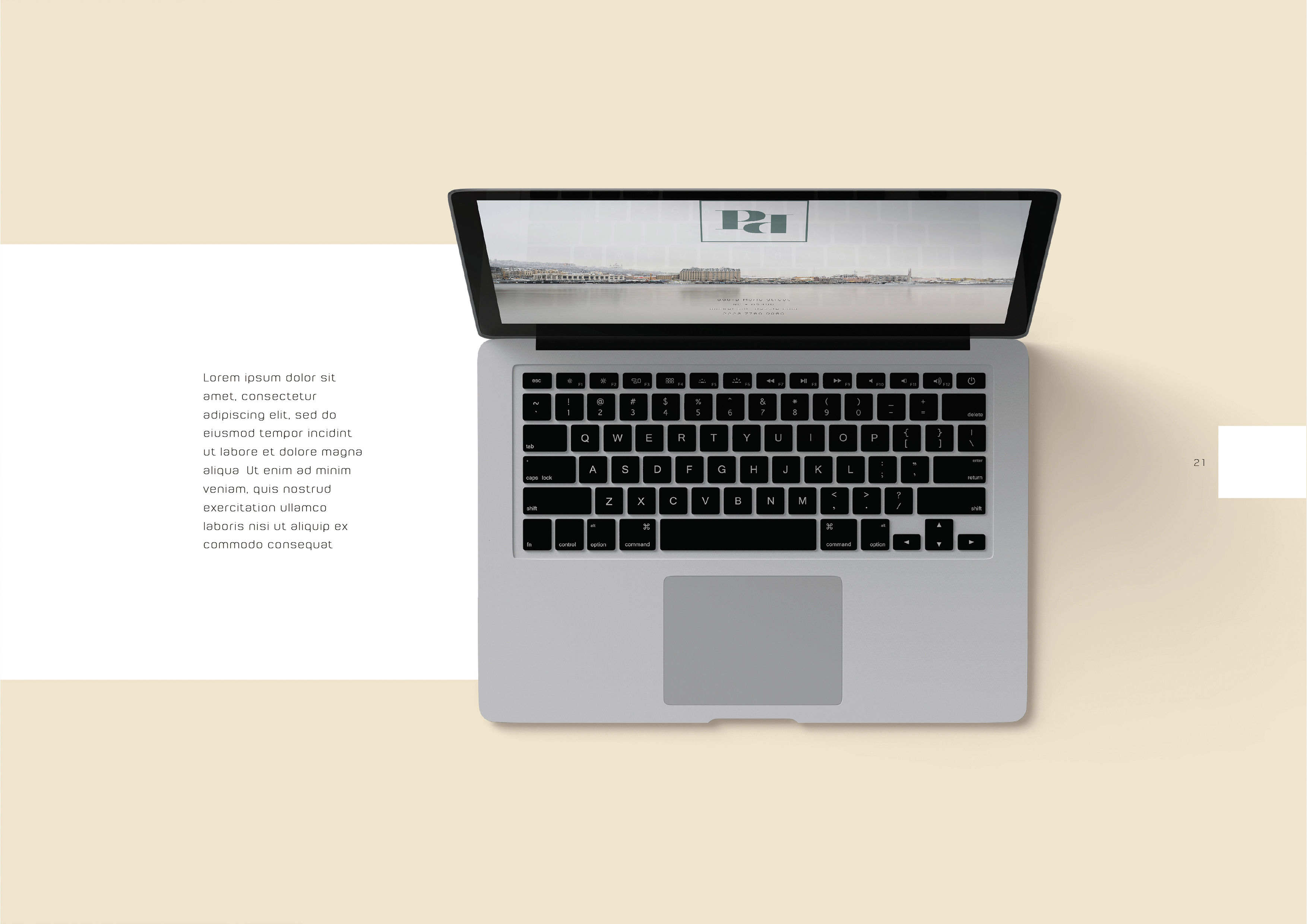 brand book template