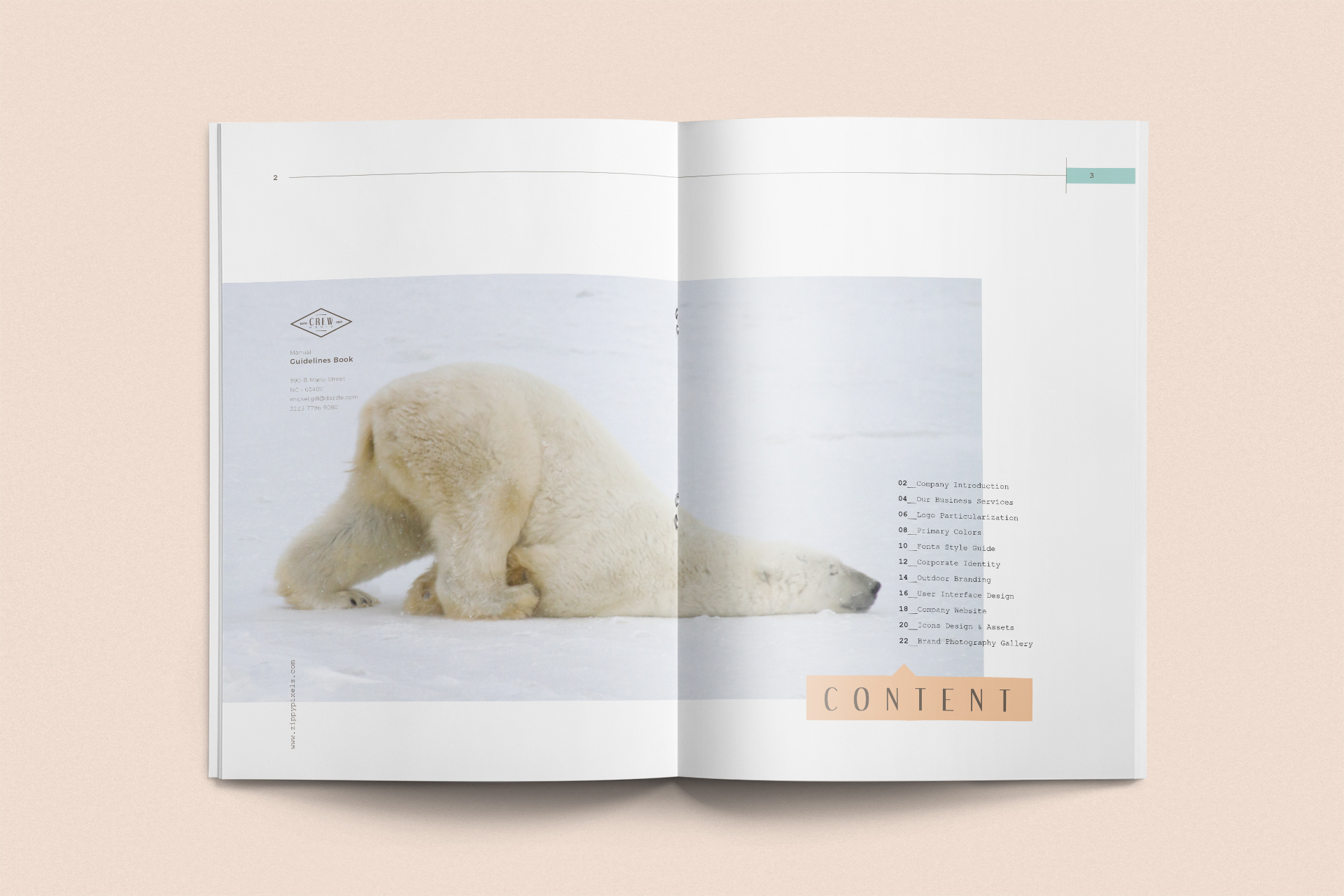 brand book template