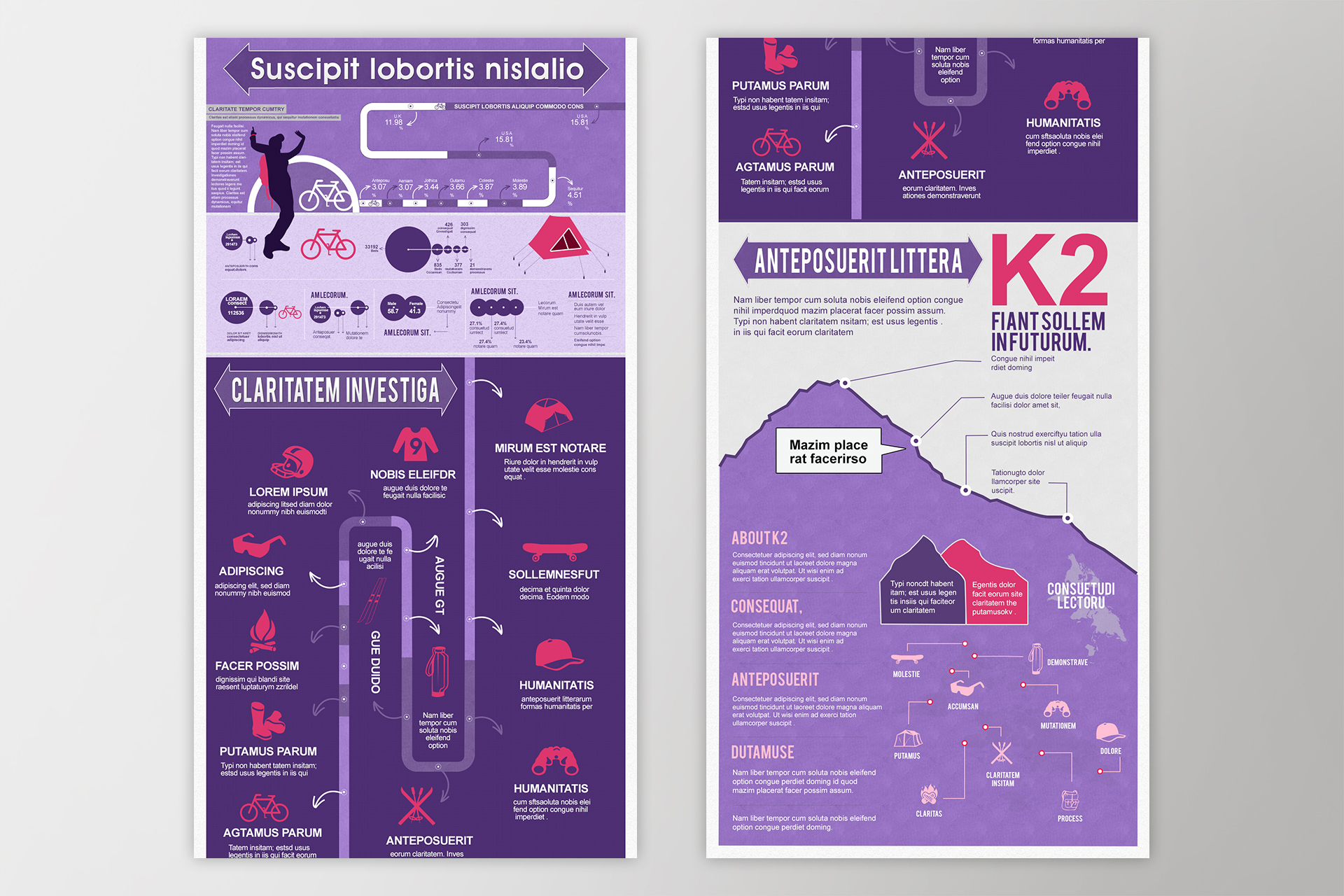 analytics infographic