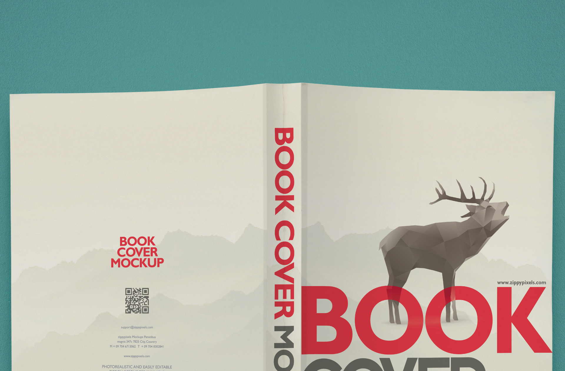 author book presentation
