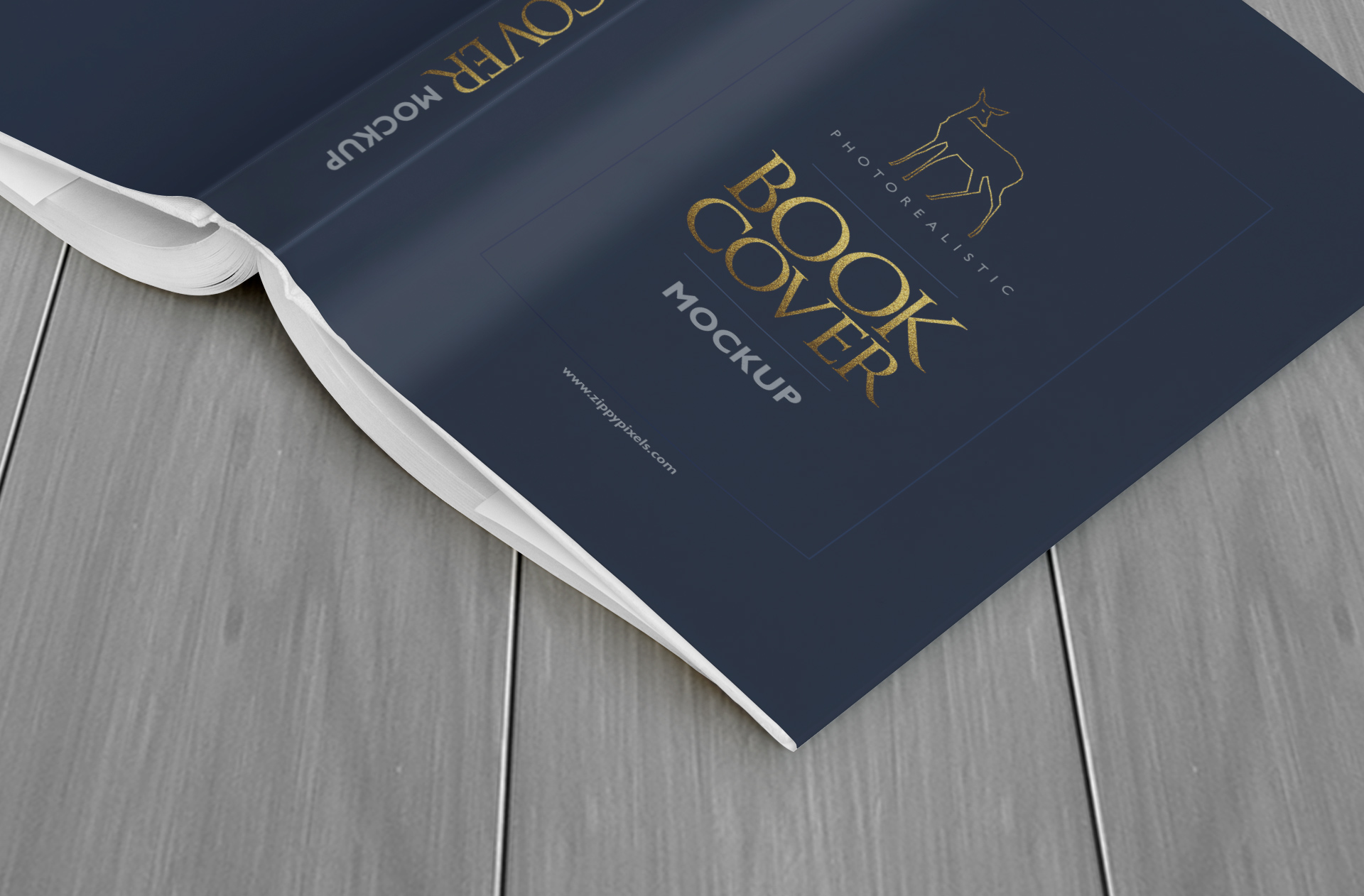 author book presentation
