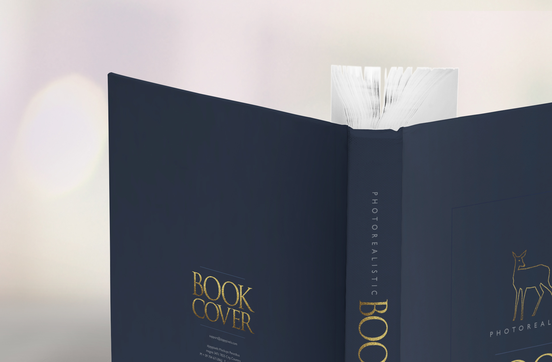 author book cover mockup