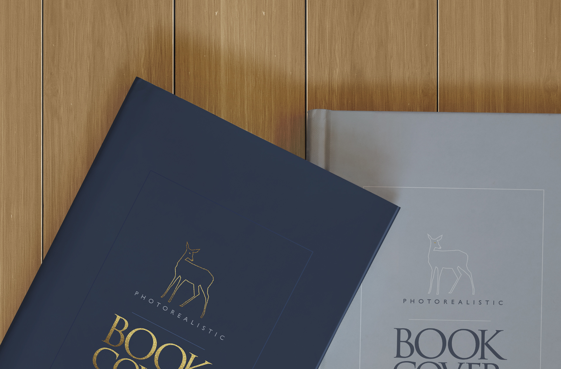 author book showcase
