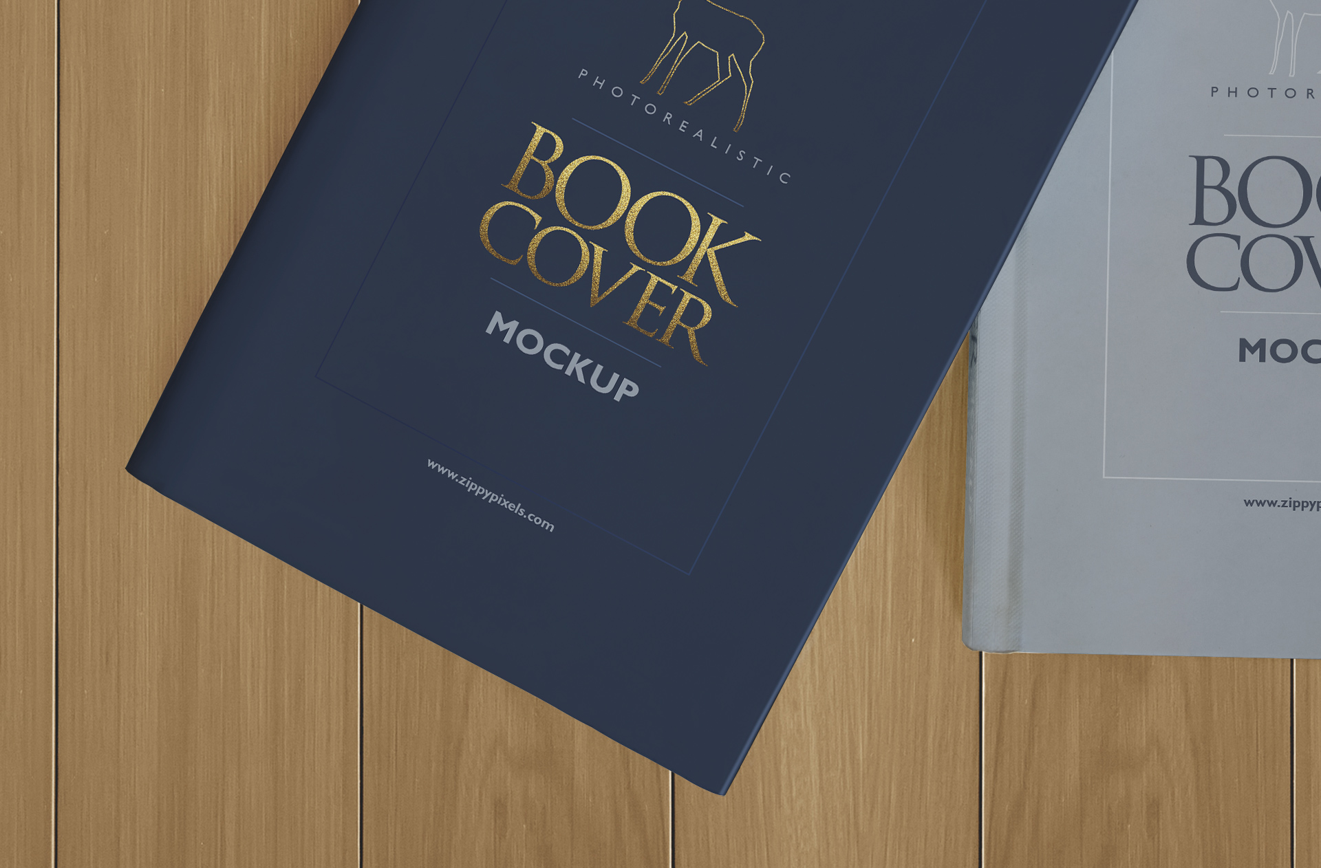 author book showcase