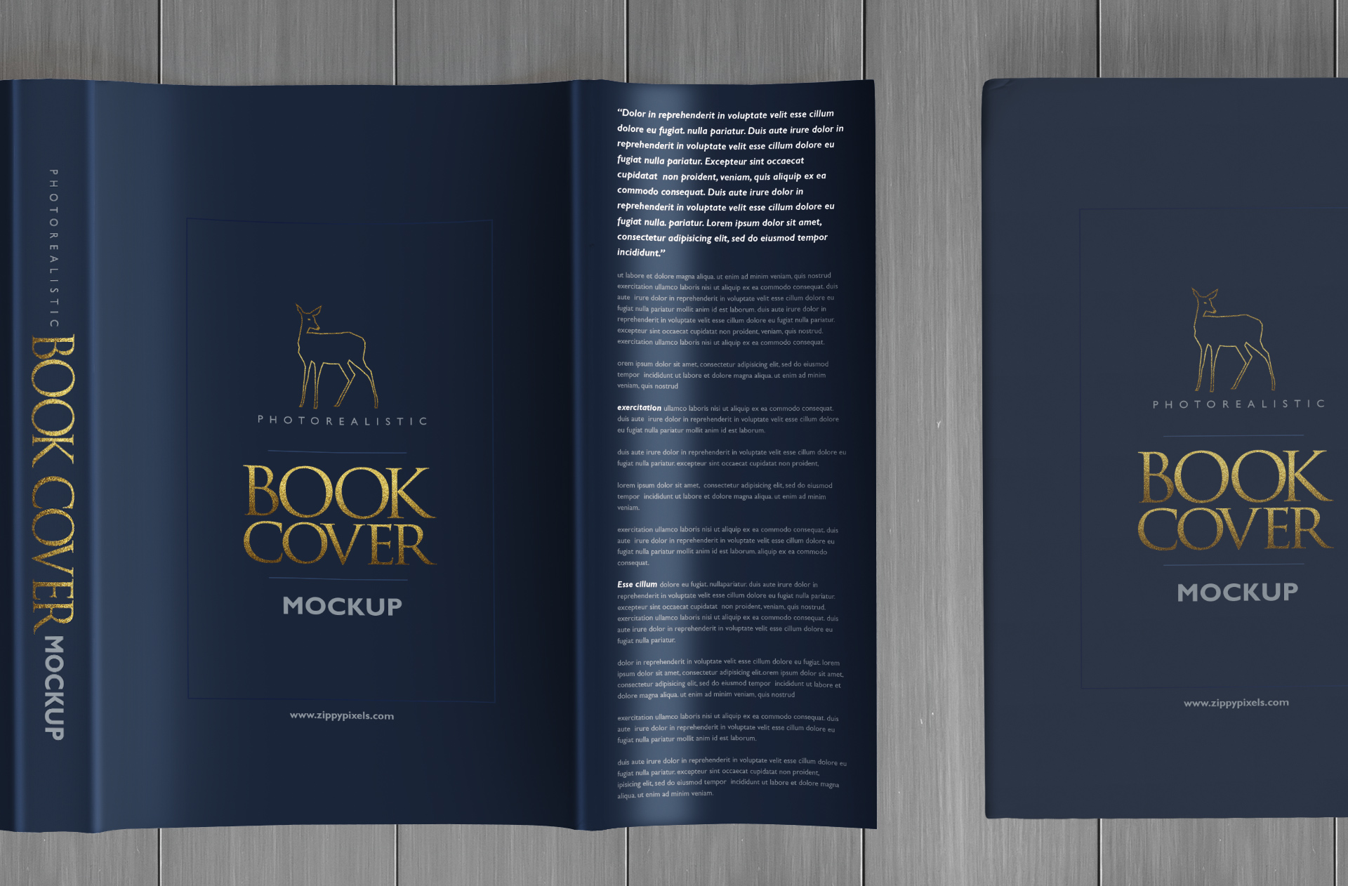 author book showcase