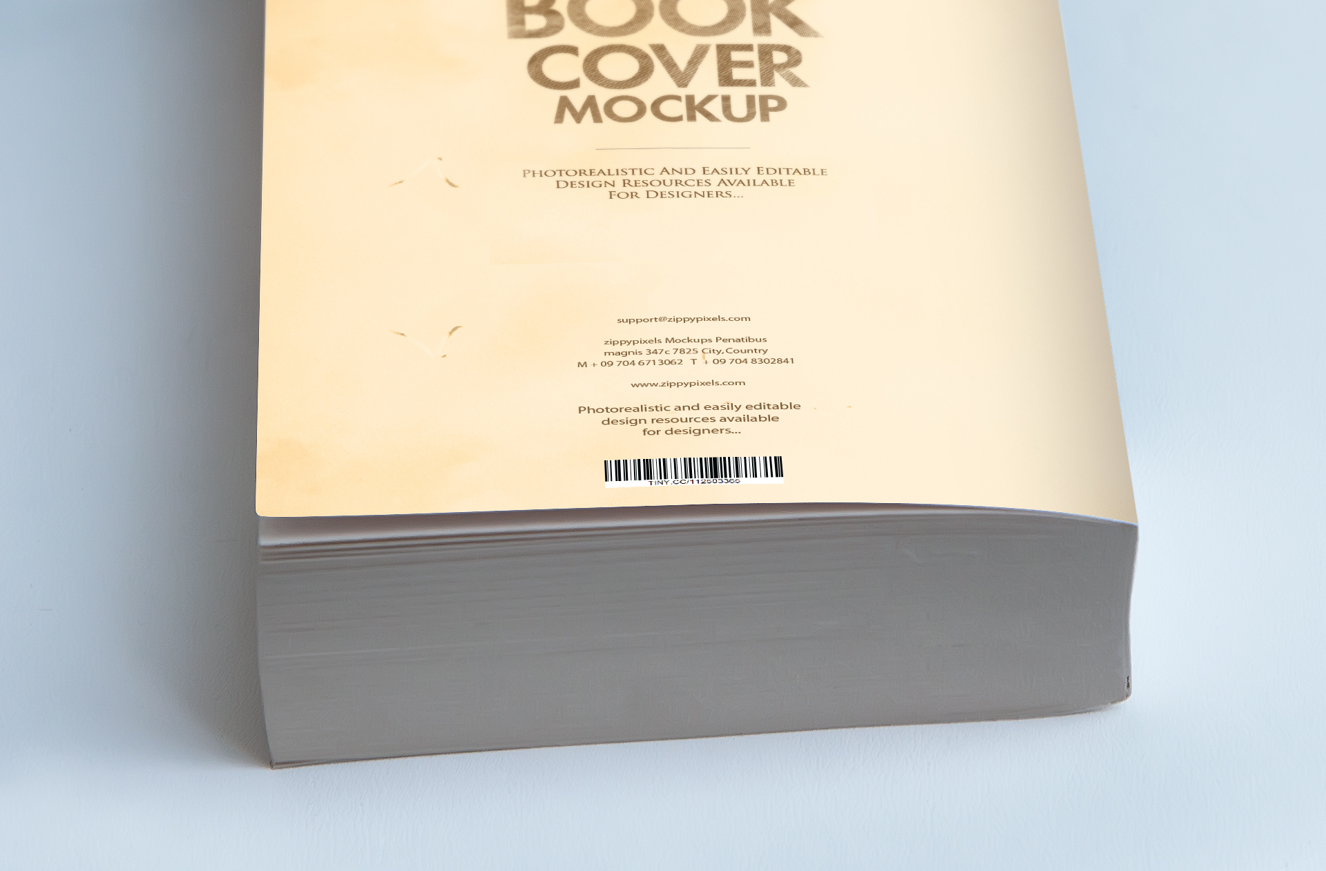 author book showcase