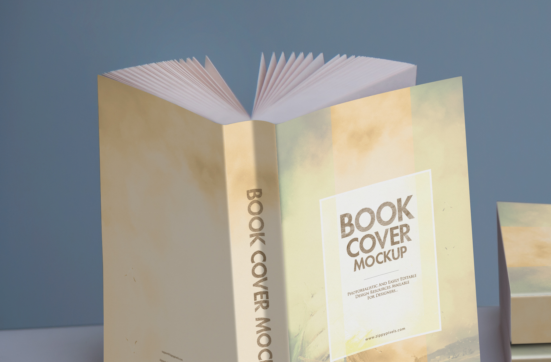 author book showcase