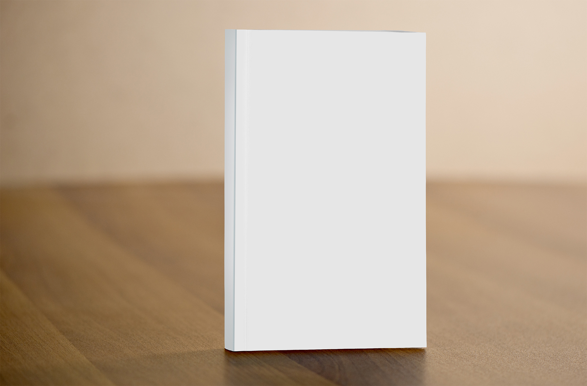 3D book mockup