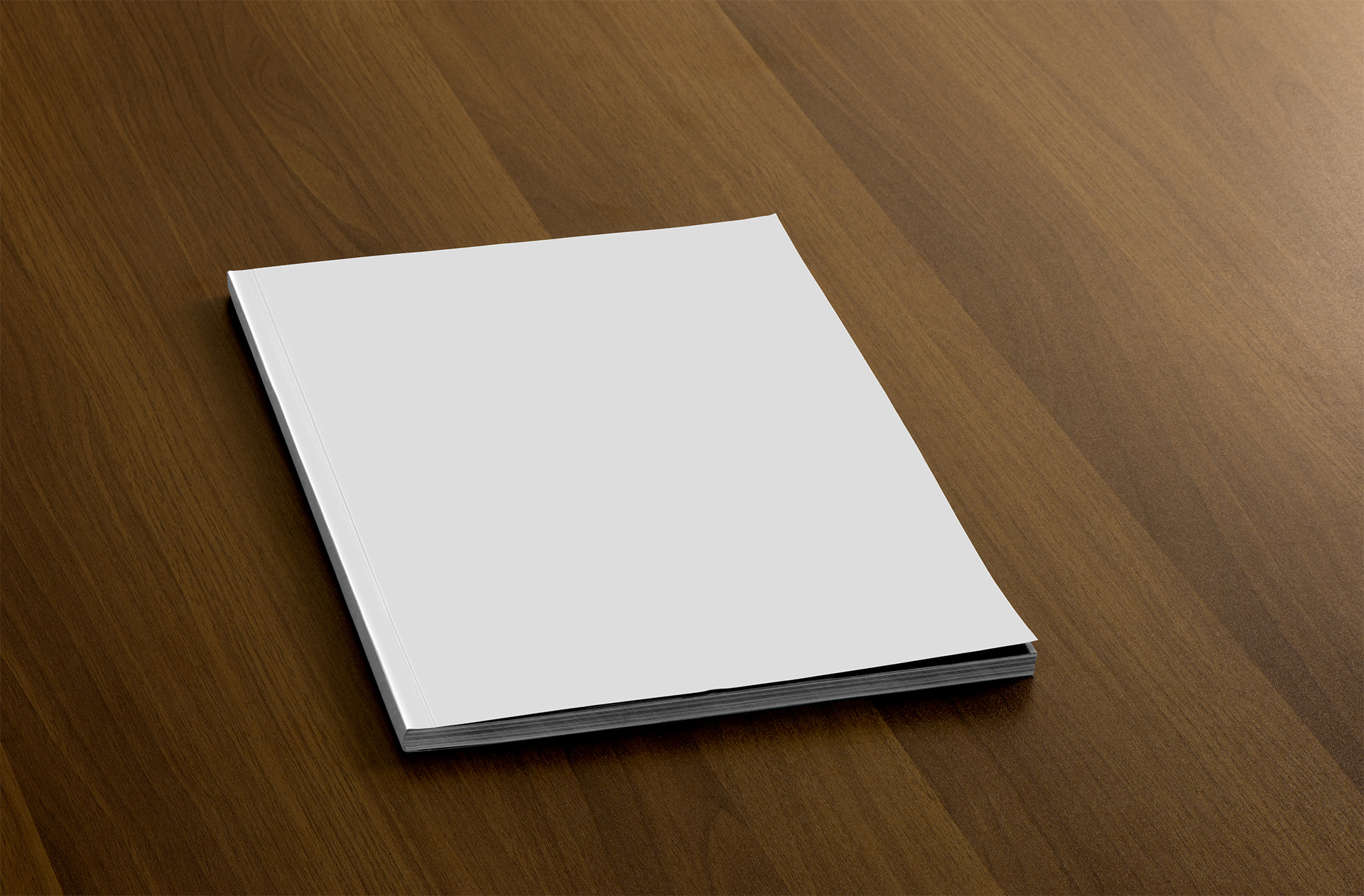 booklets mockup