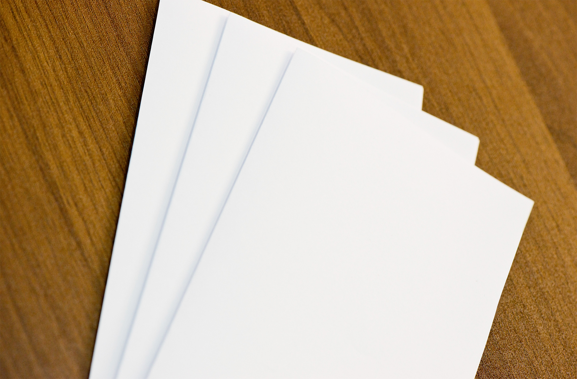 corporate branding mockup
