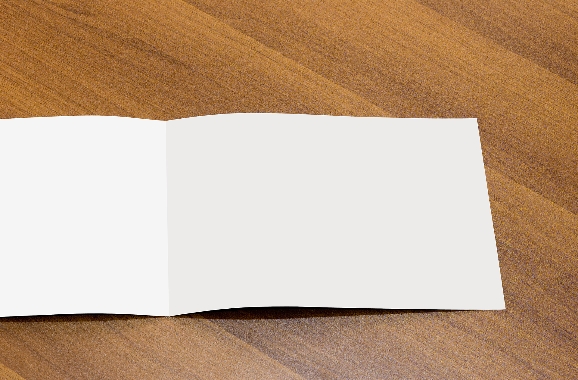bi-fold brochure mock up