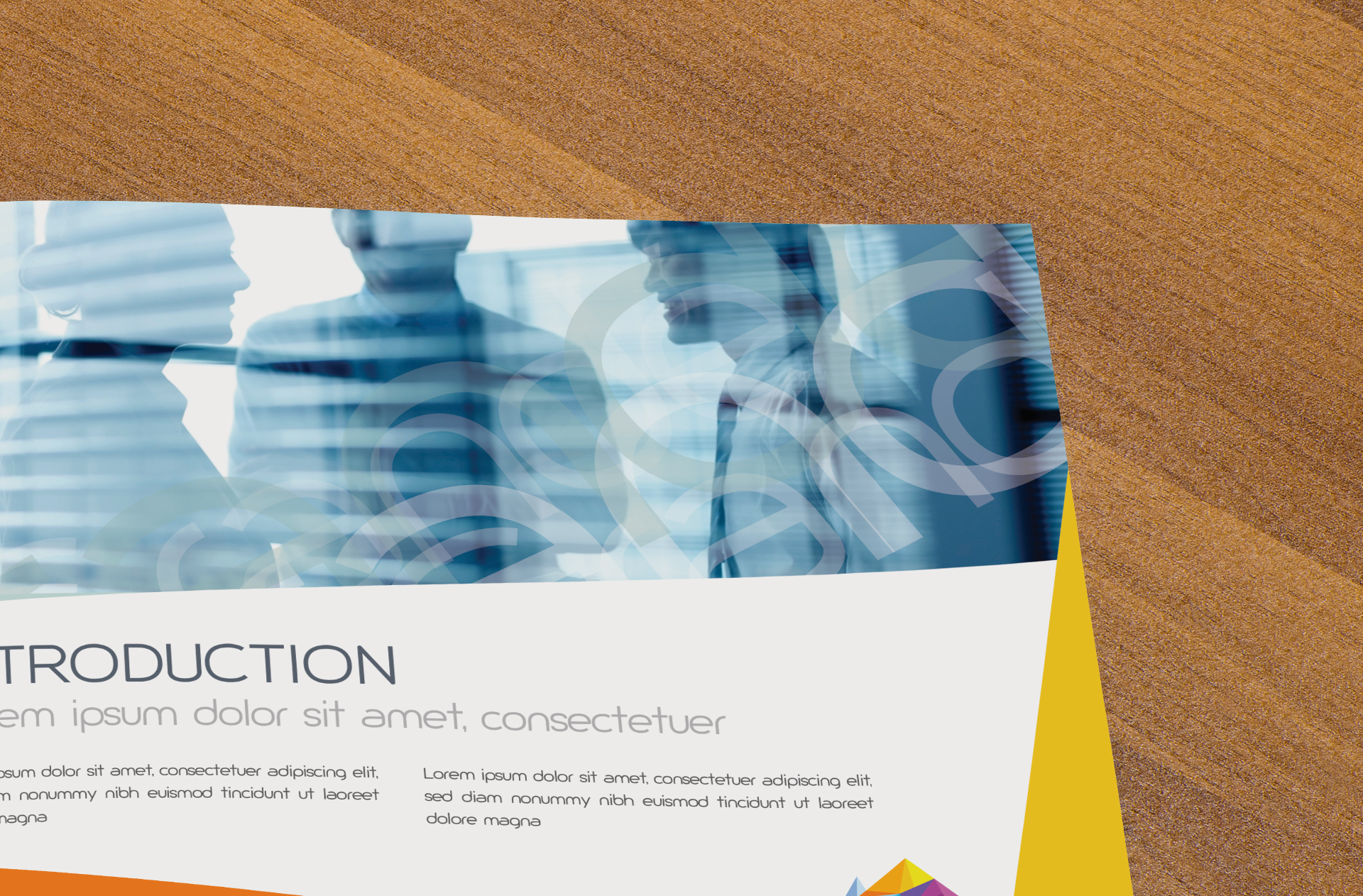 bi-fold brochure mock up