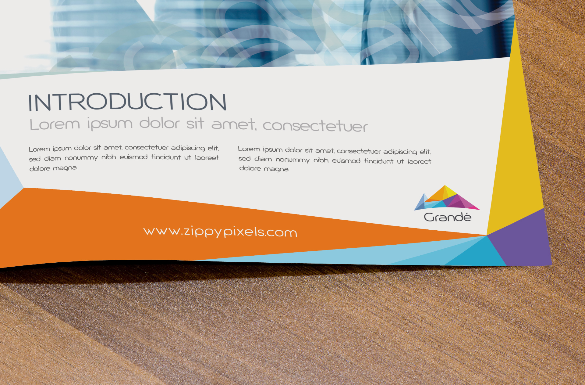 bi-fold brochure mock up
