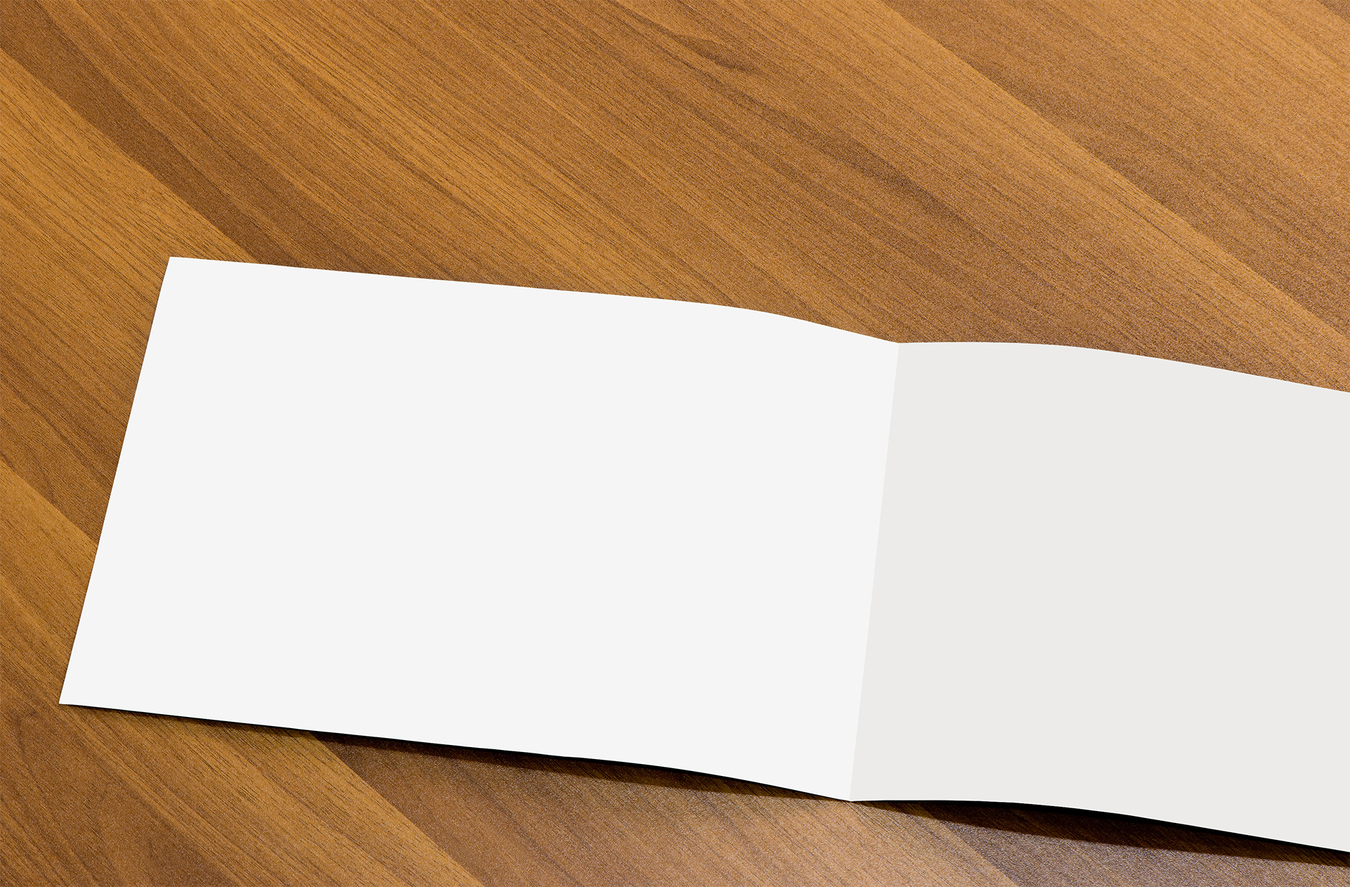 bi-fold brochure mock up