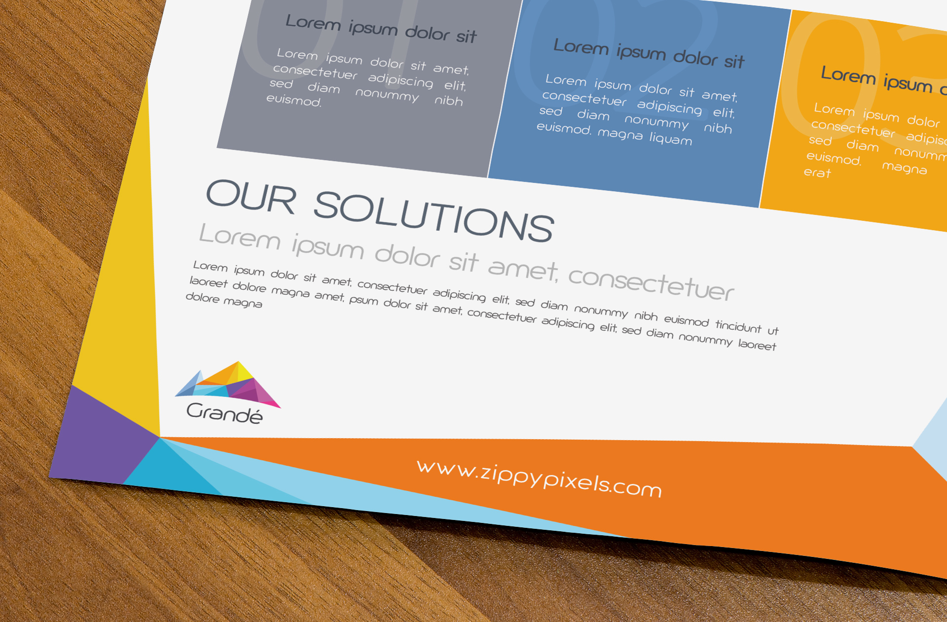 bi-fold brochure mock up