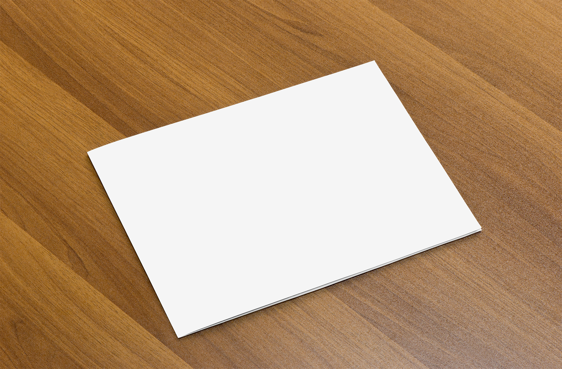 bi-fold brochure mock up